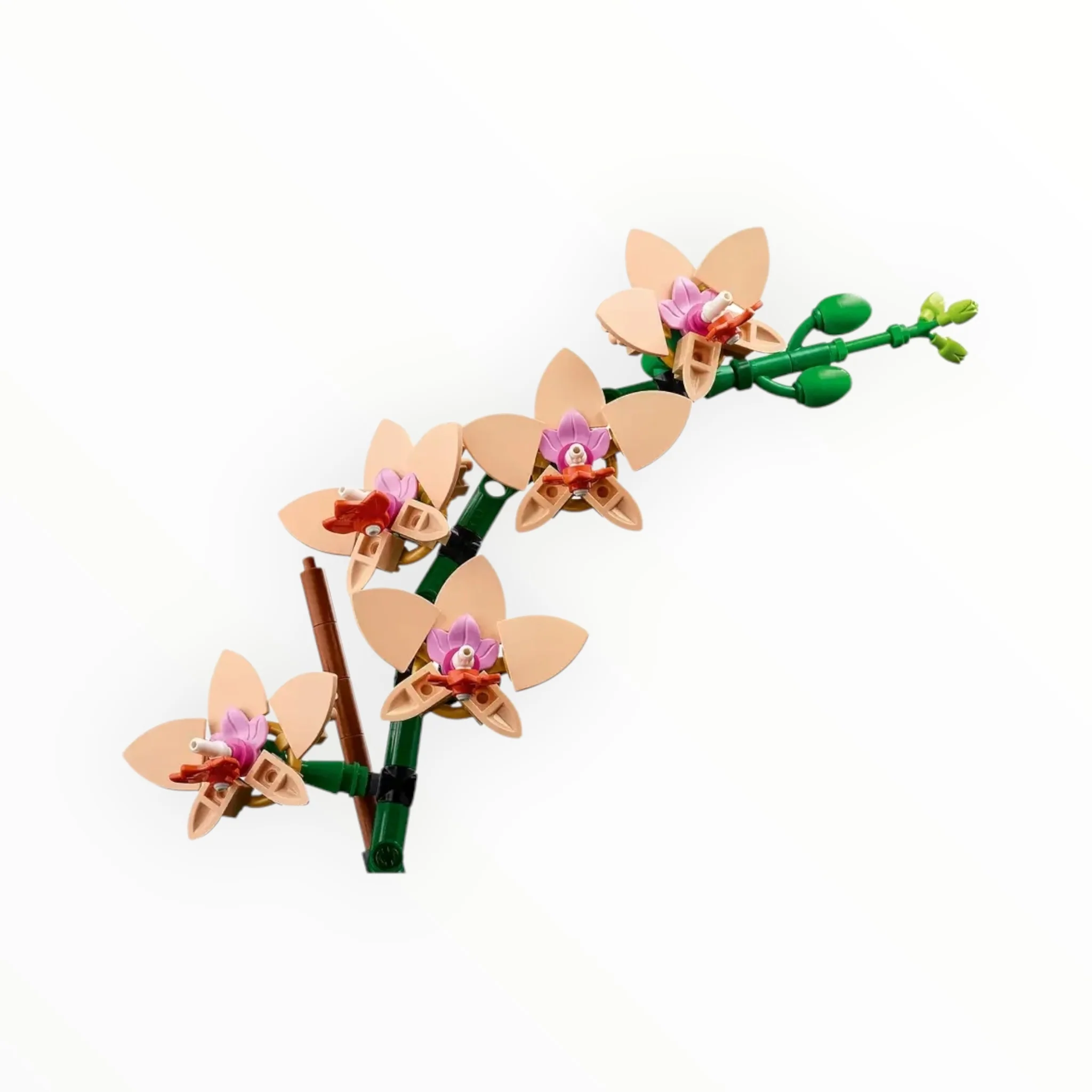 10343 Botanicals Mini Orchid - Image 2