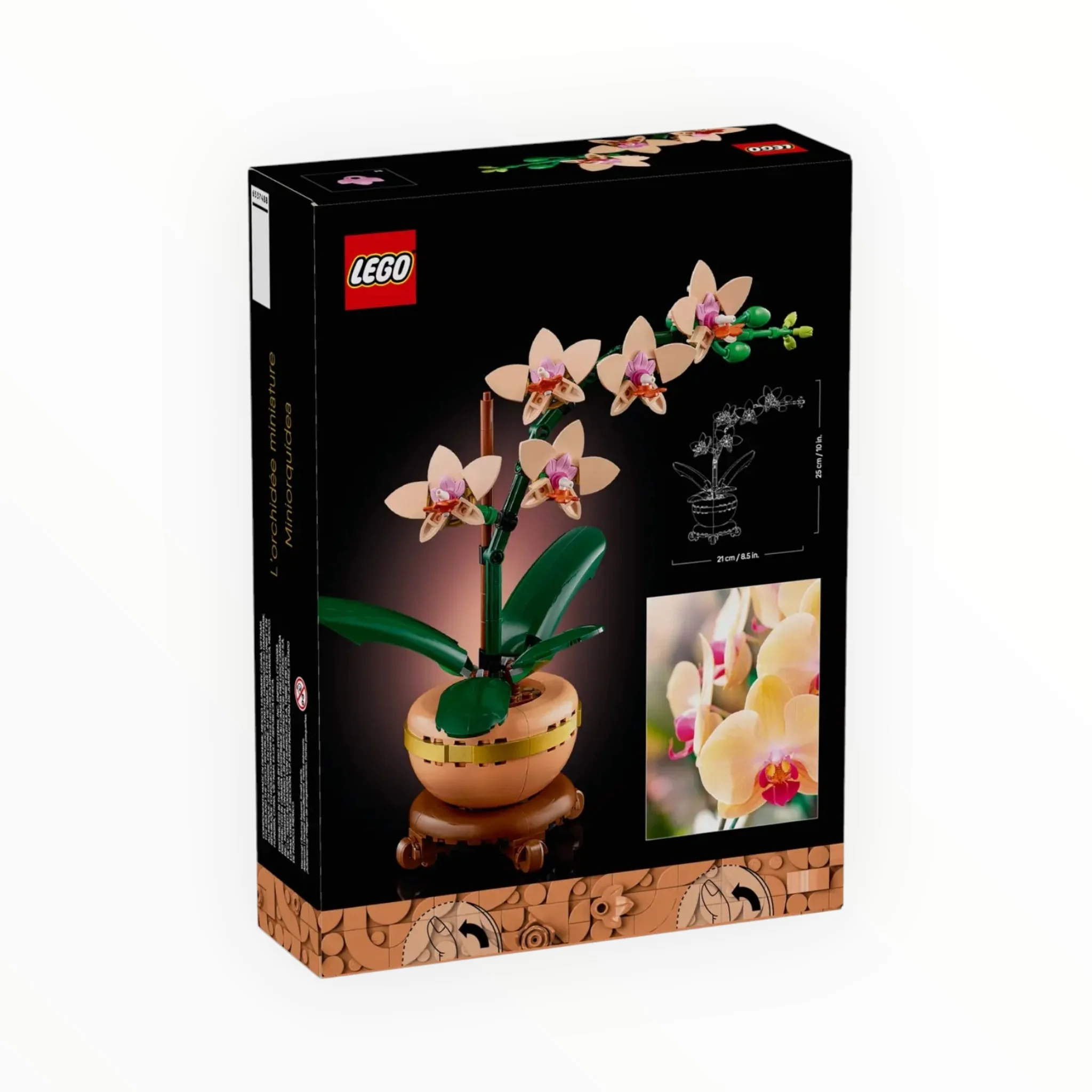 10343 Botanicals Mini Orchid - Image 3