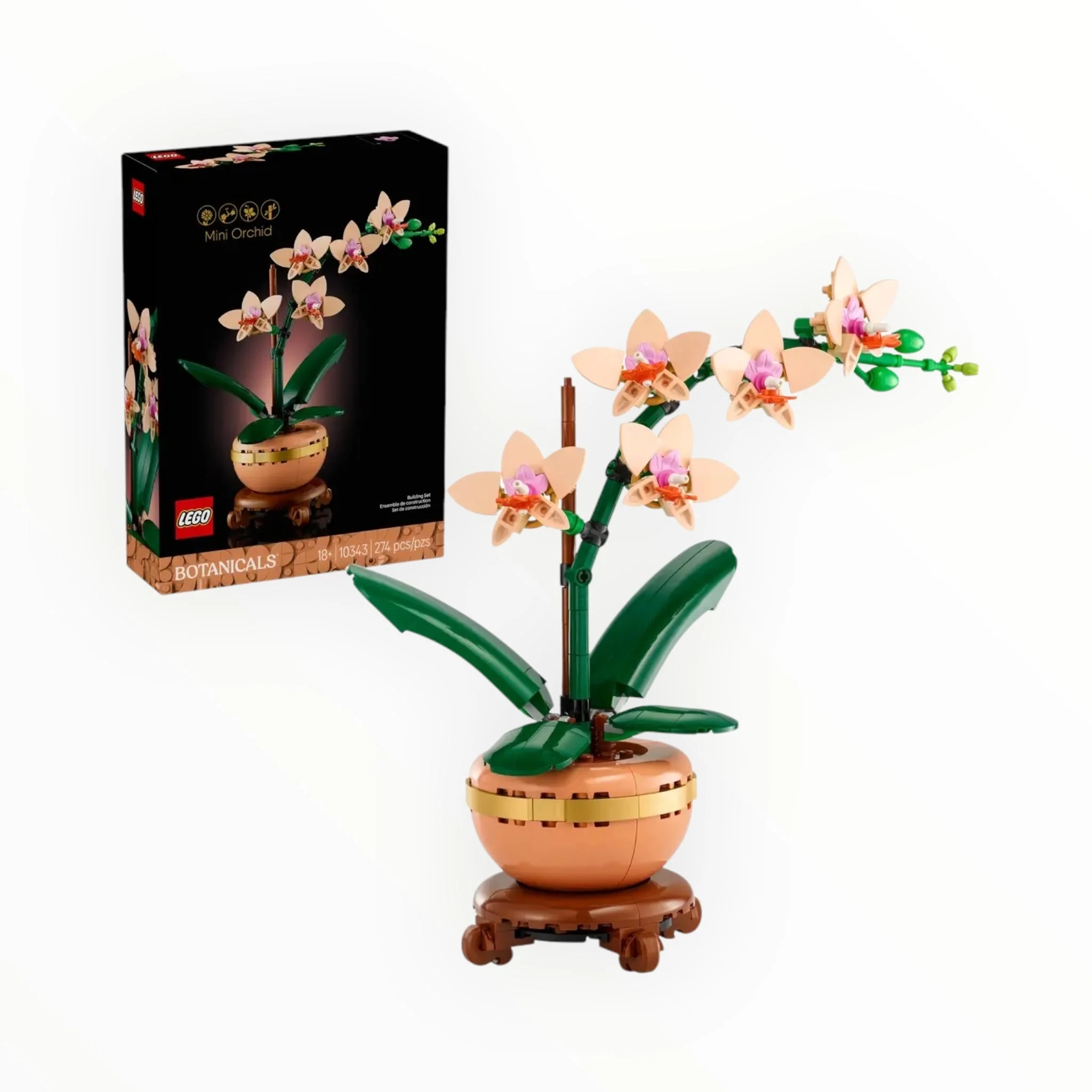 10343 Botanicals Mini Orchid - Image 4