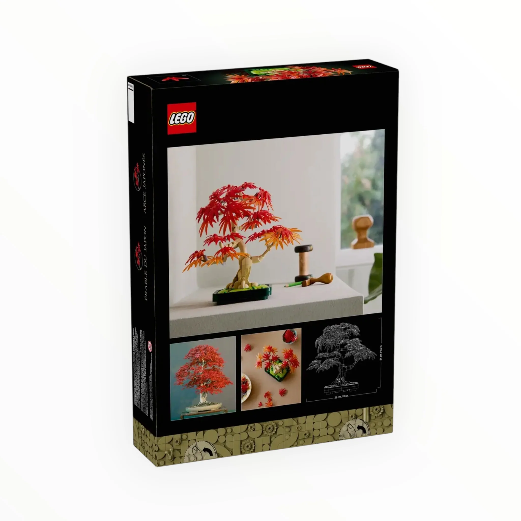 10348 Botanicals Japanese Red Maple Bonsai Tree - Image 3