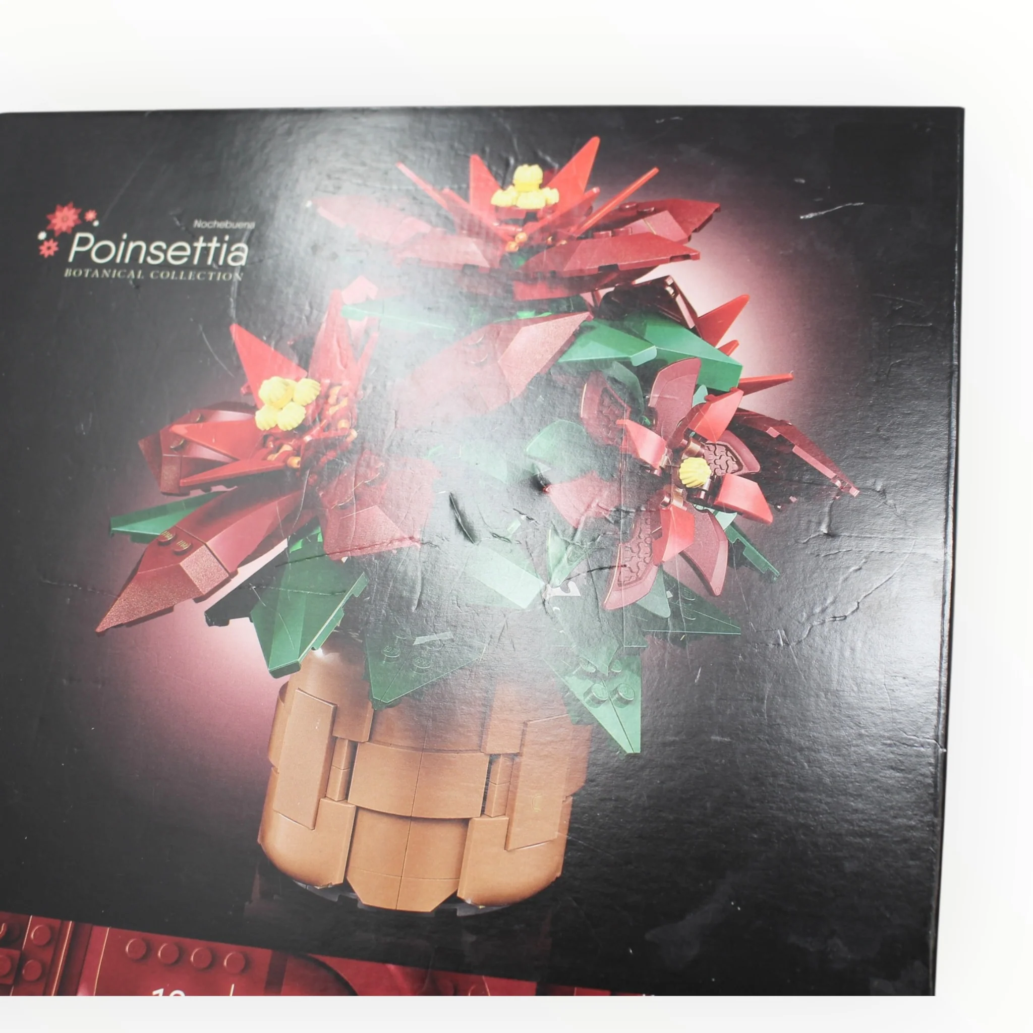 10370 Icons Poinsettia (damaged box) - Image 3