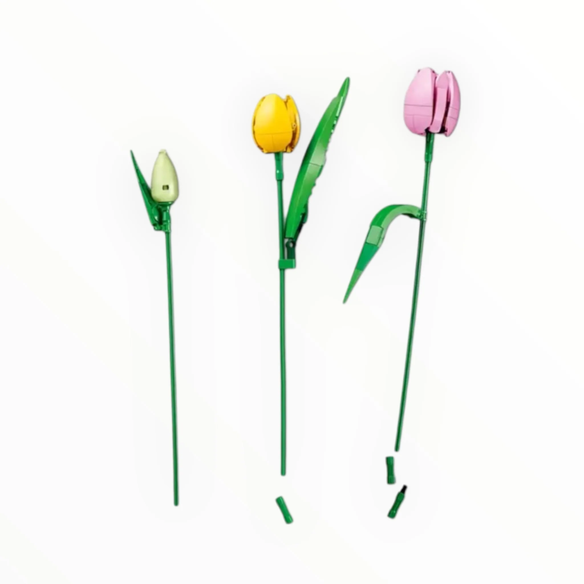 11501 Botanicals Tulip Bouquet - Image 2
