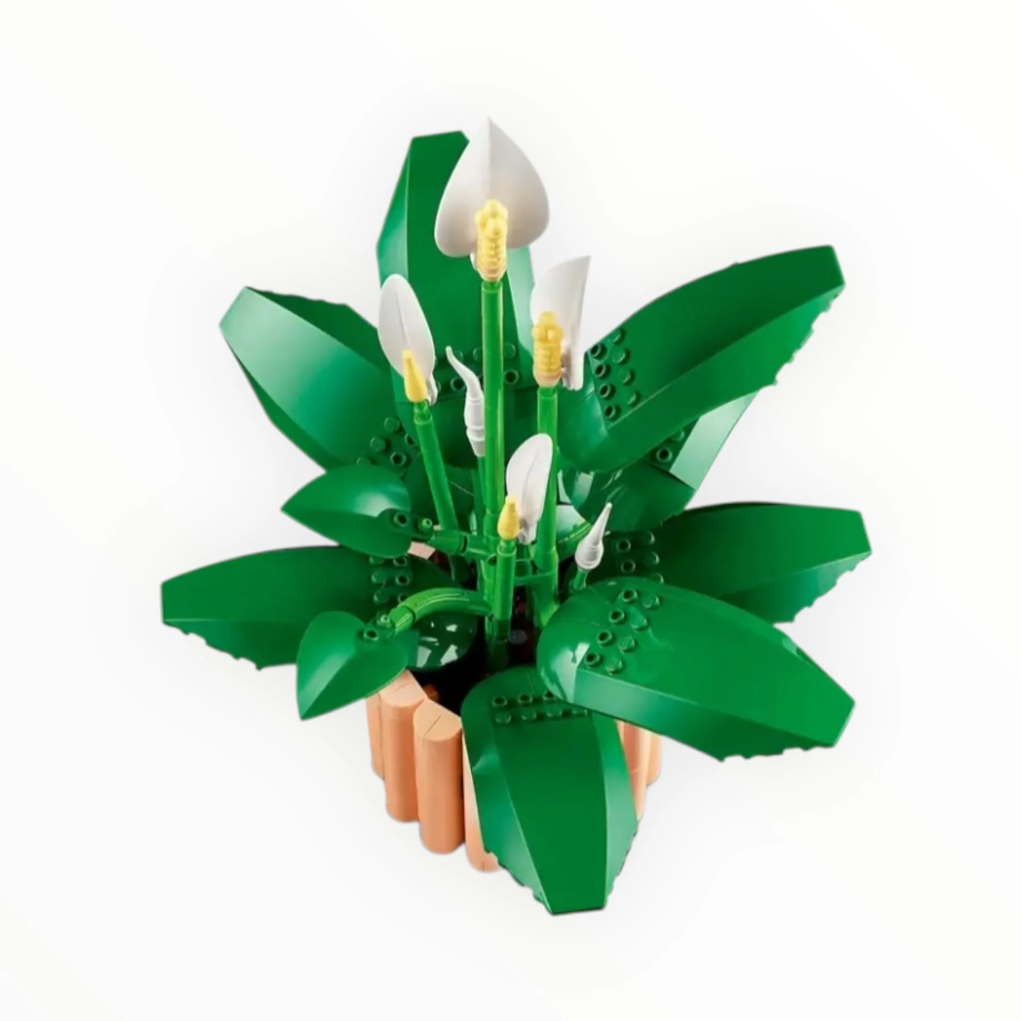 11504 Botanicals Peace Lily - Image 2