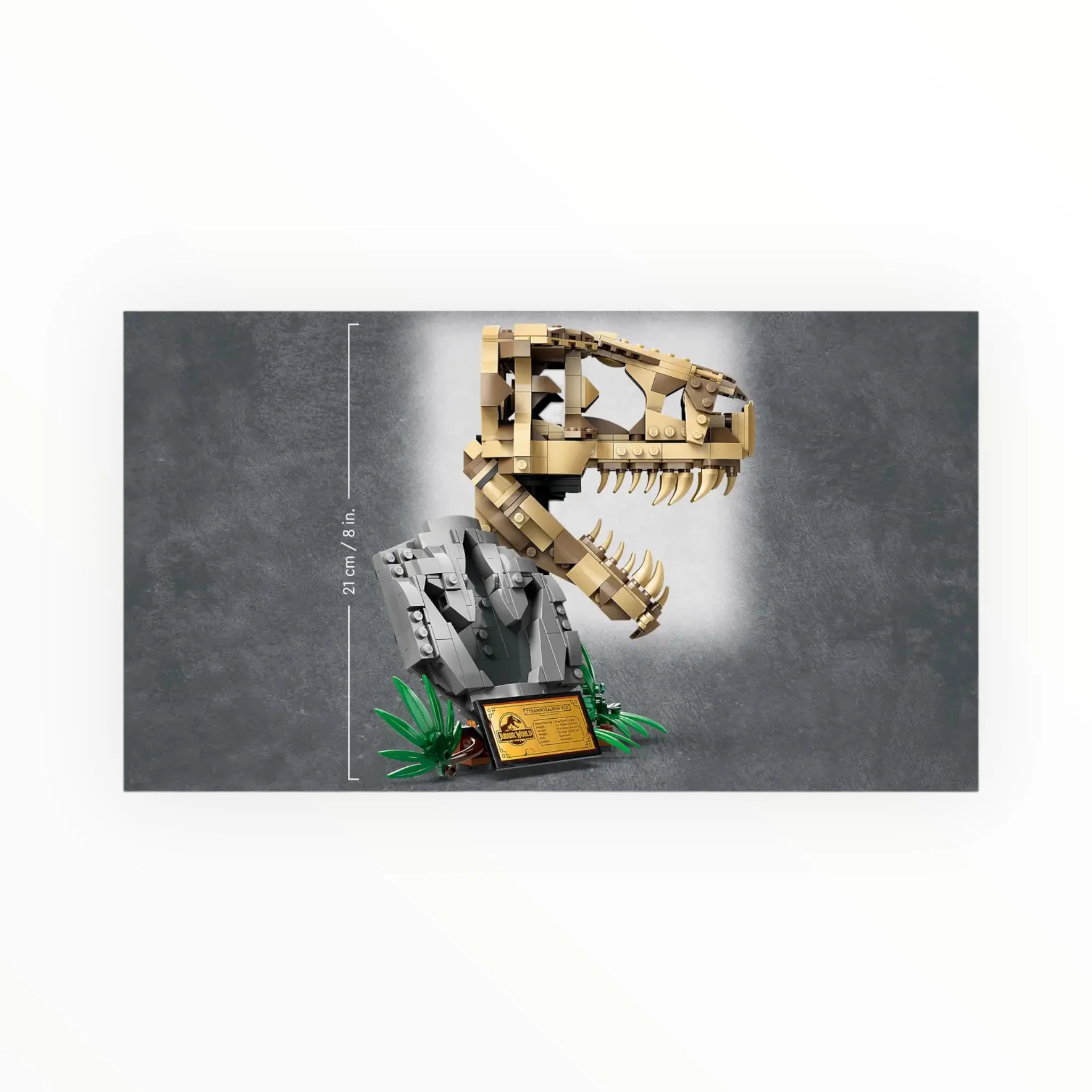 76964 Jurassic World Dinosaur Fossils: T. rex Skull - Image 2