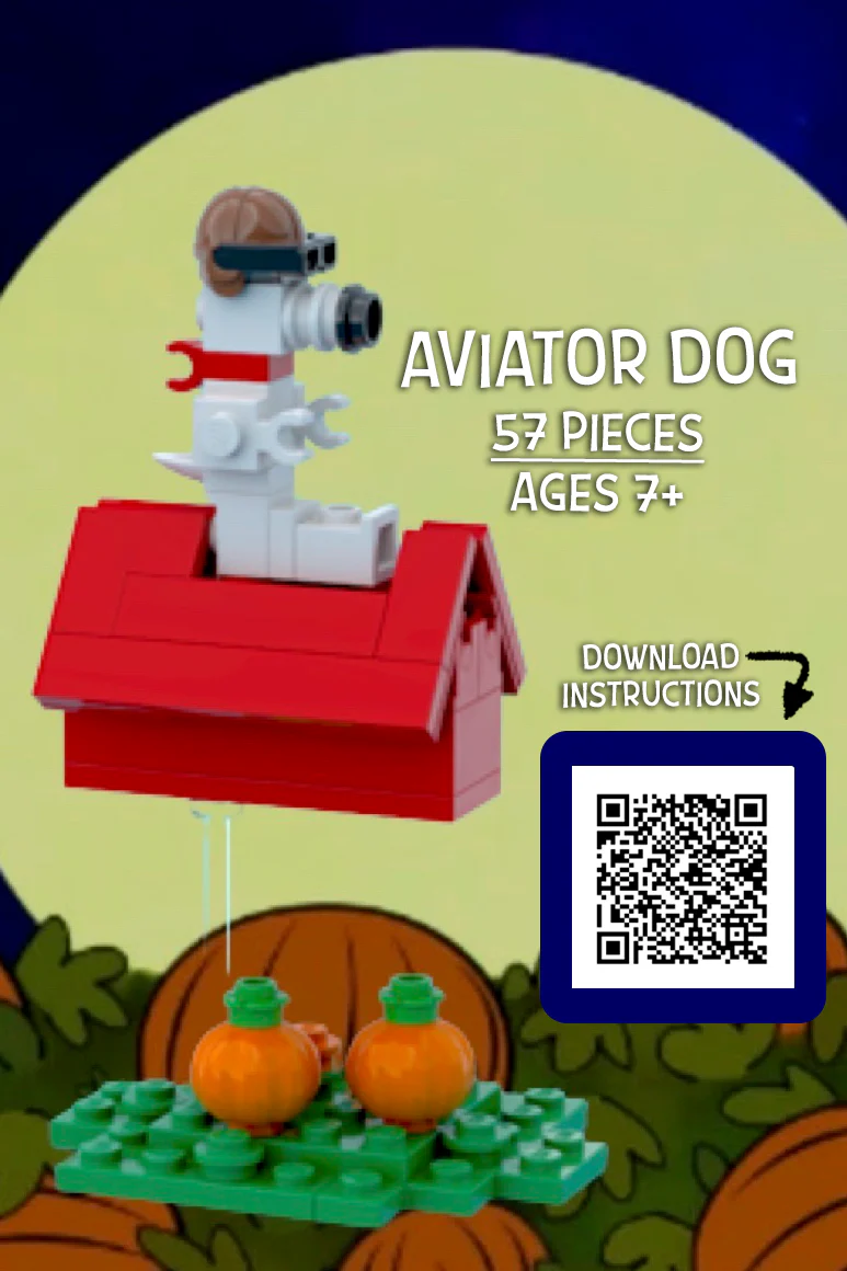 Aviator Dog Custom Build - Image 2