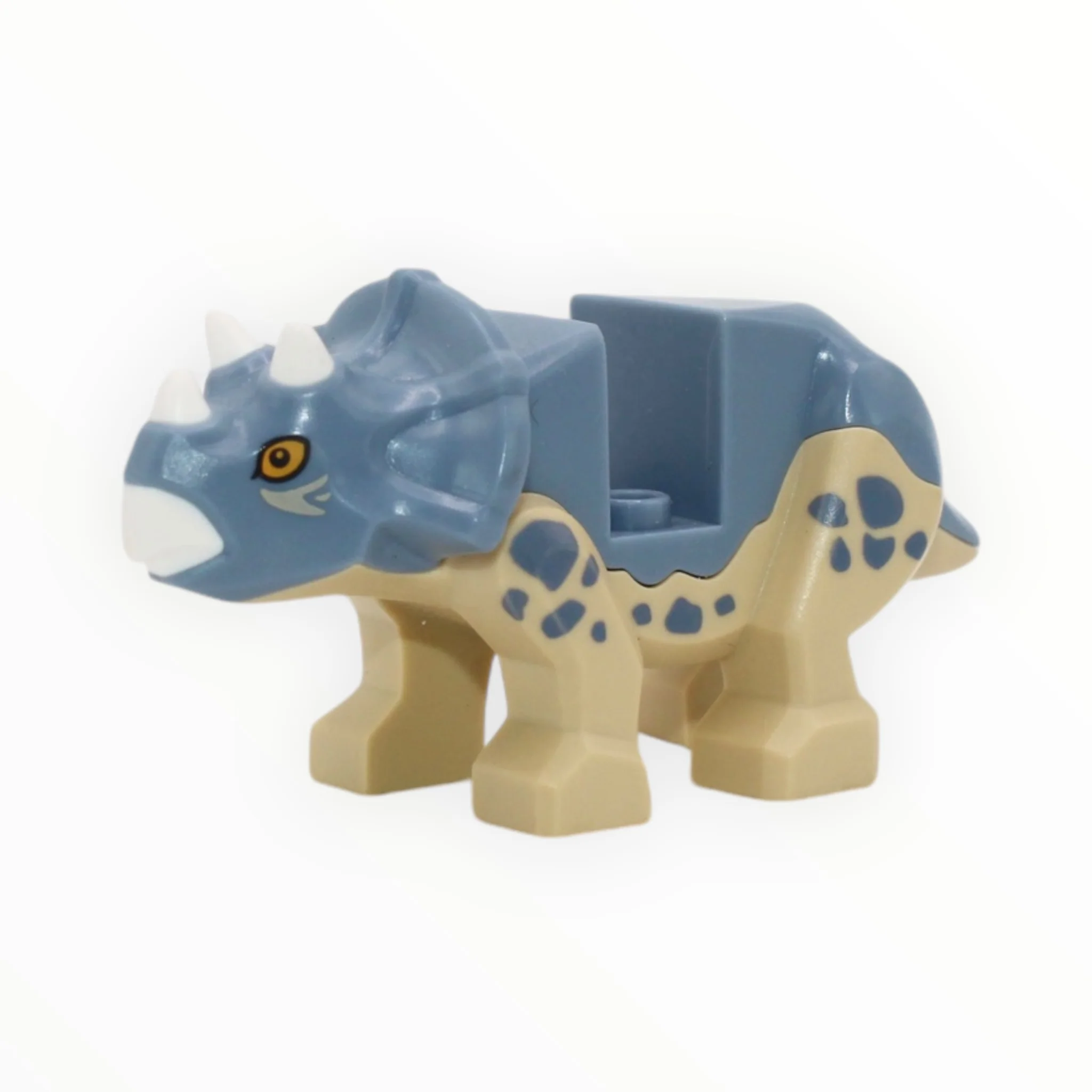 Baby Triceratops (sand blue back)
