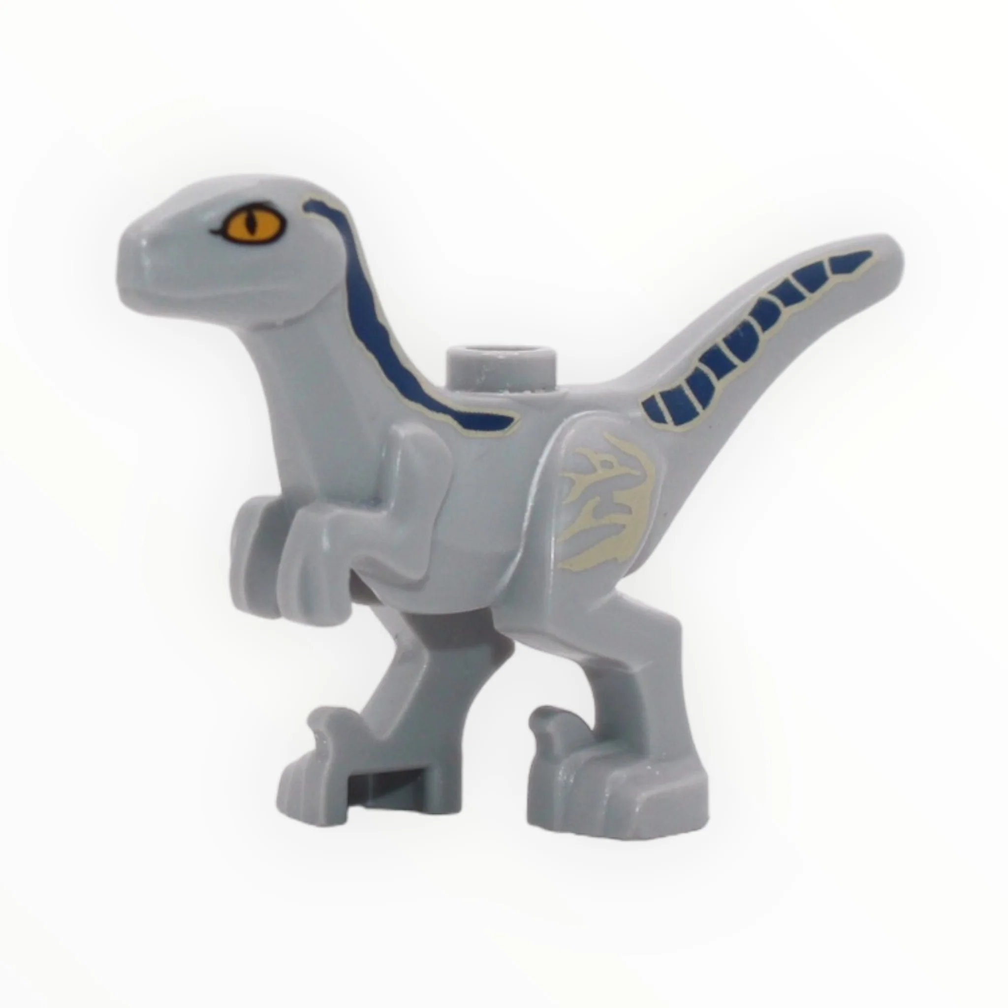 Beta (light bluish gray with blue and tan markings, 2022)