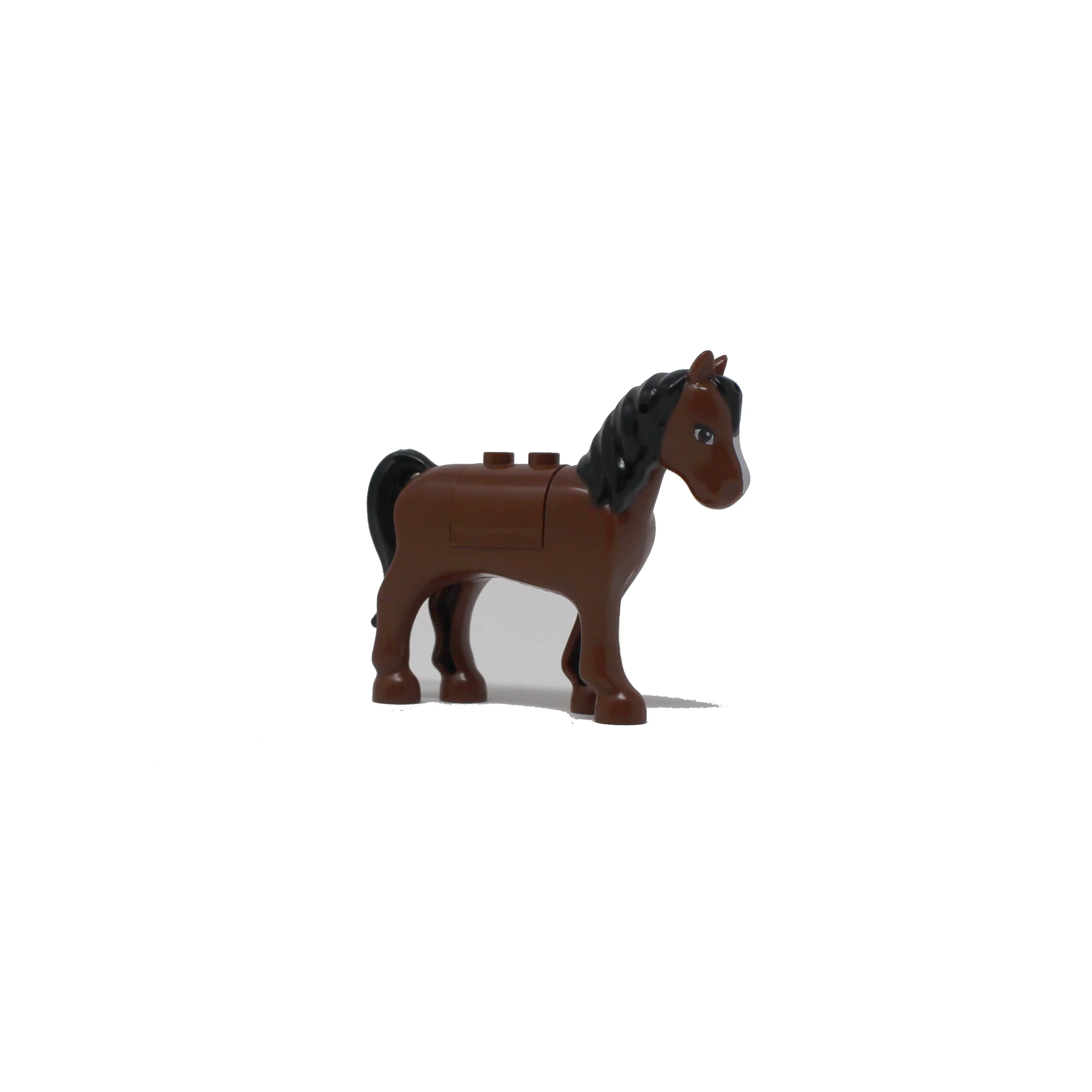 Brown Horse, white face stripe (Friends)