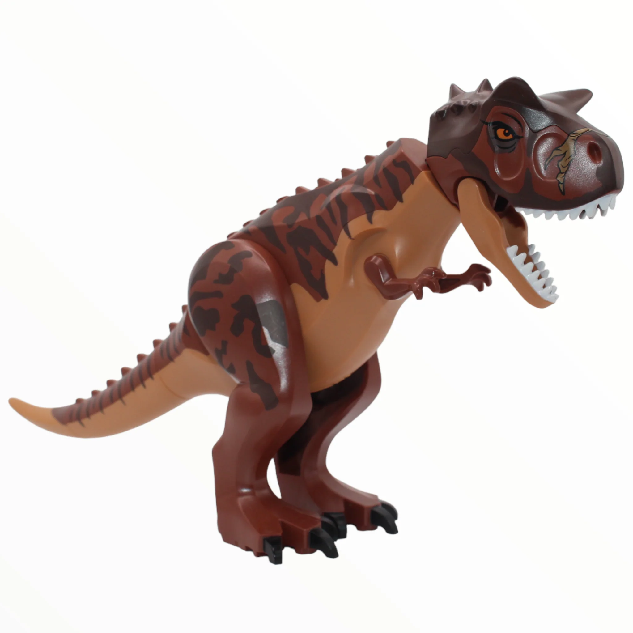 Carnotaurus (stripes pattern, scar on head, 2021)