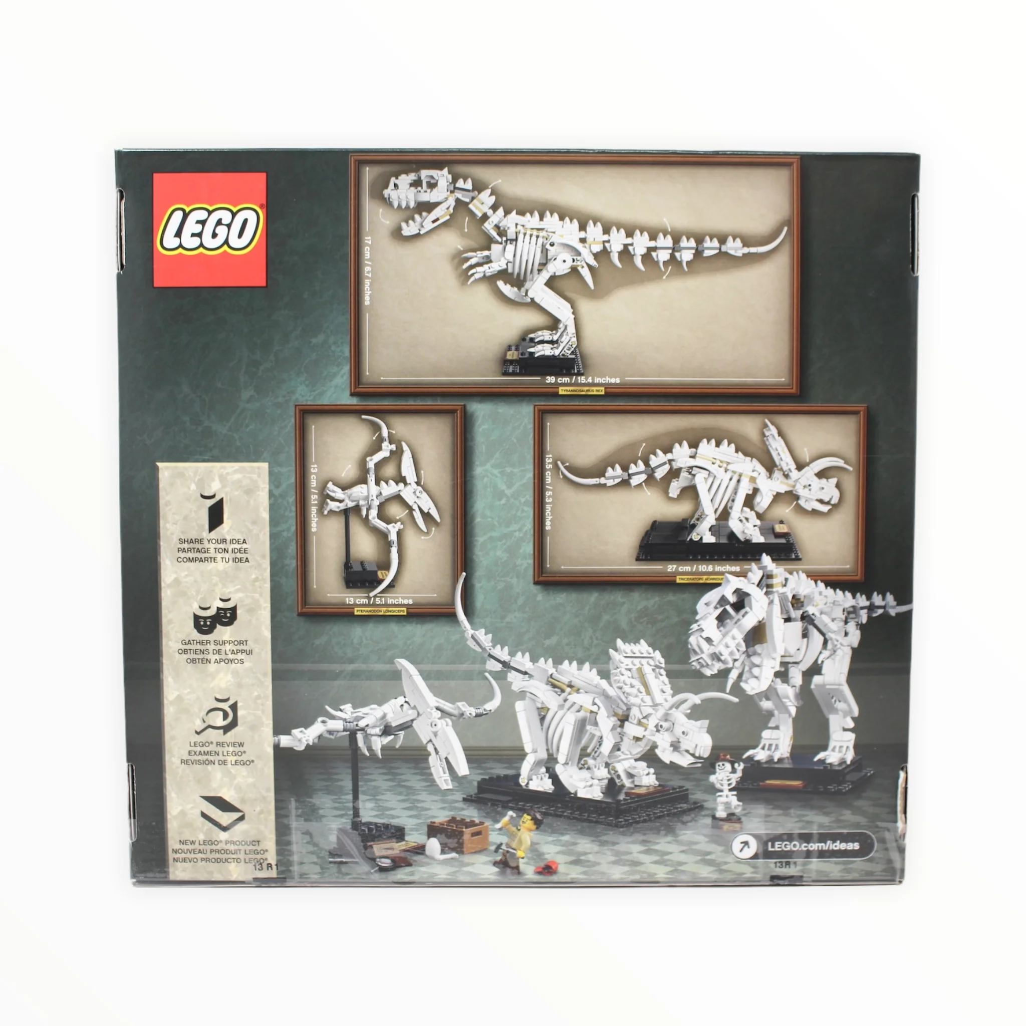 Certified Used Set 21320 LEGO Ideas Dinosaur Fossils - Image 2