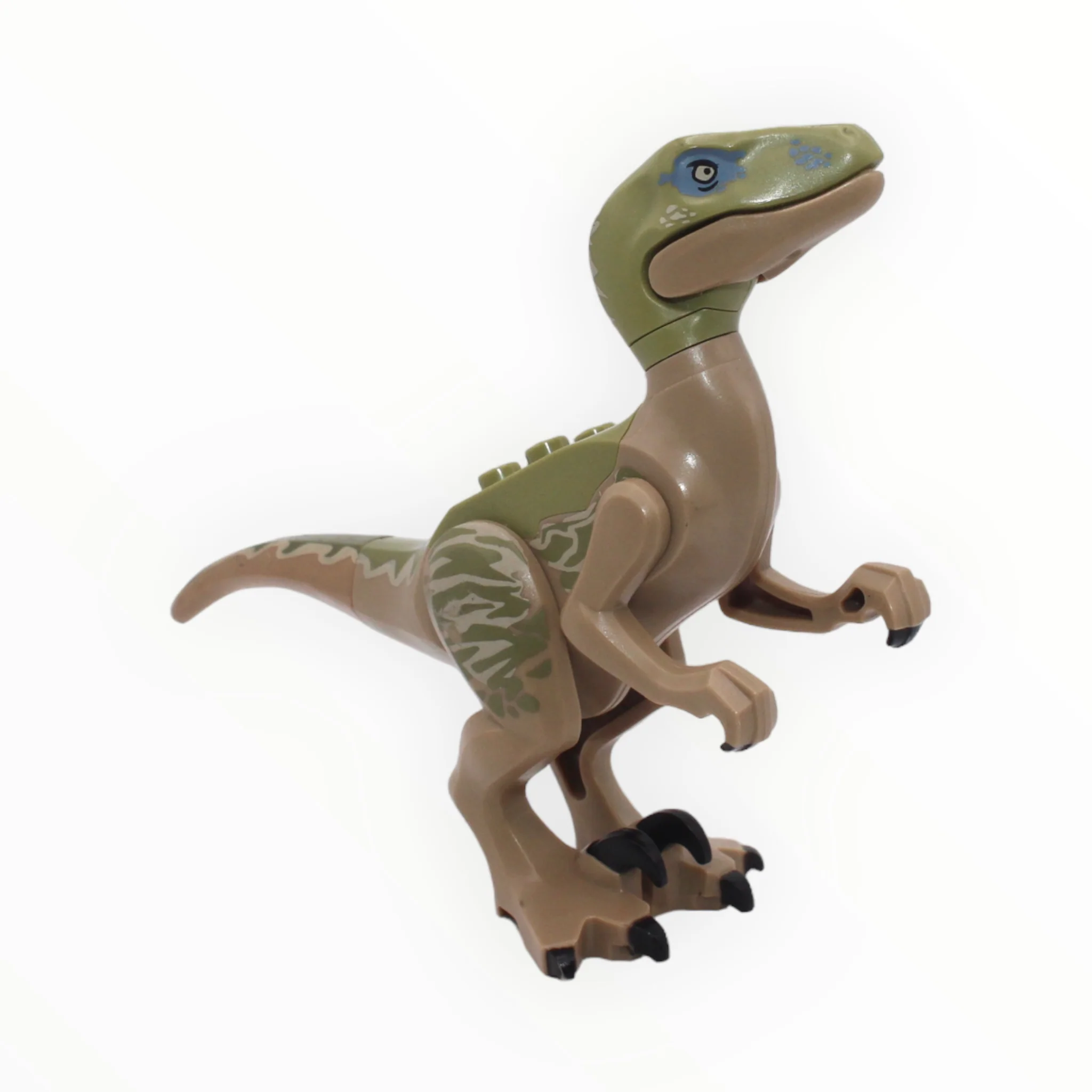 Delta (olive green and dark tan velociraptor)
