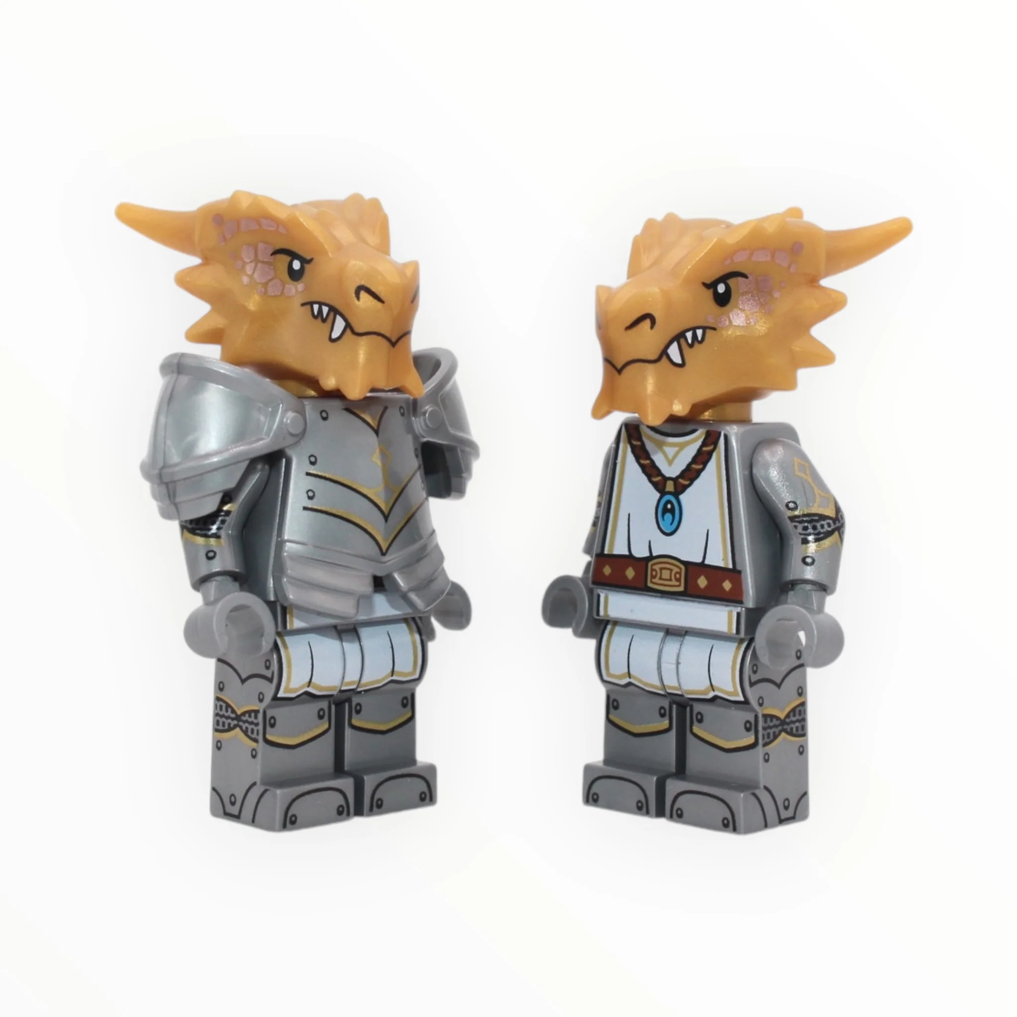 Dungeons & Dragons Series: Dragonborn Paladin - Image 2