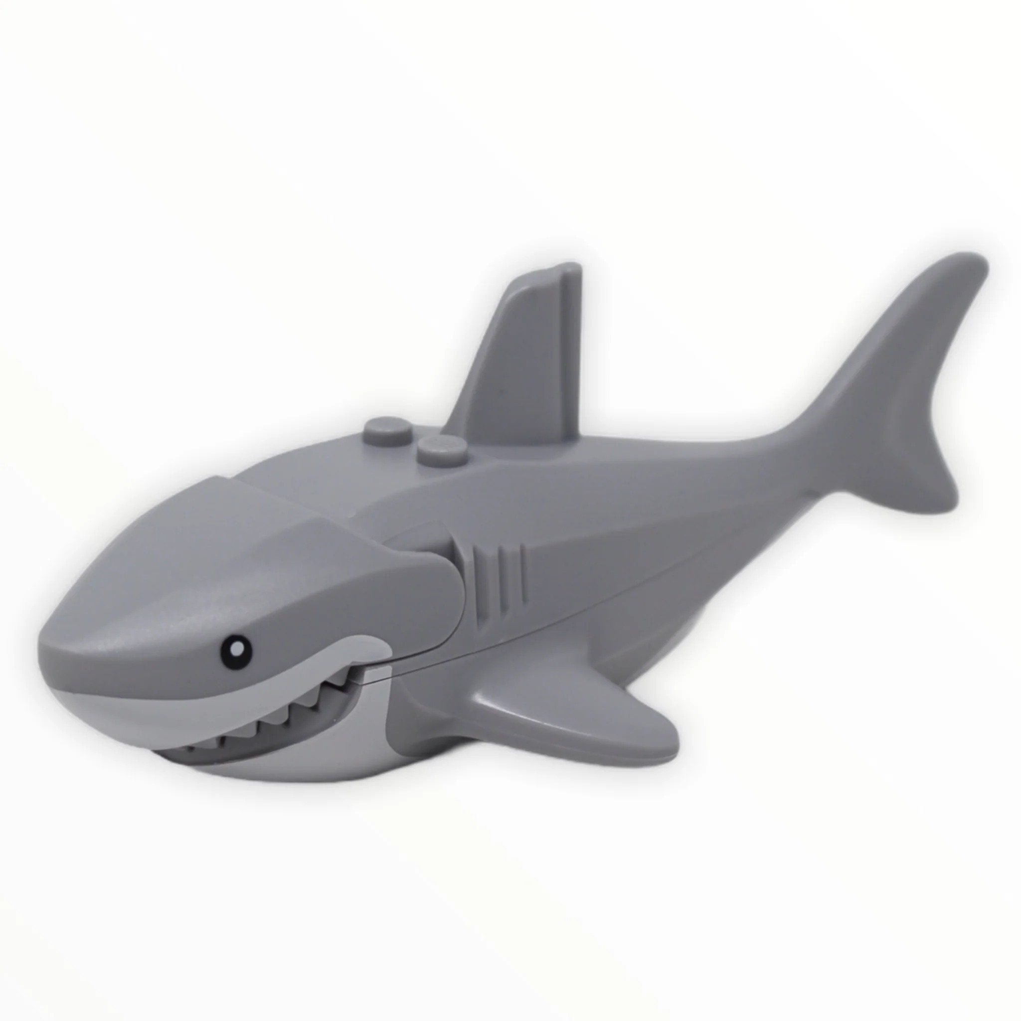 Great White Shark