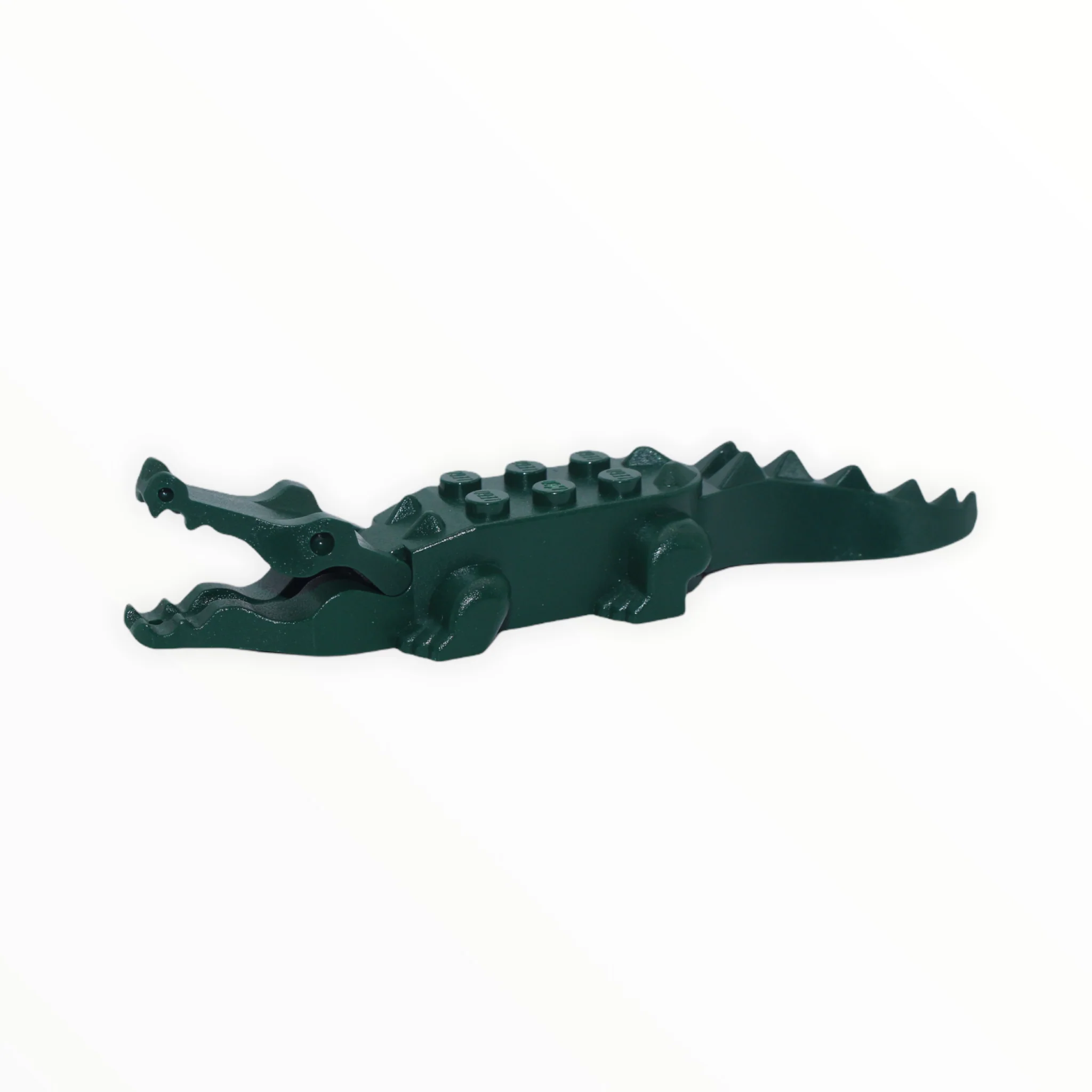 Dark Green Alligator / Crocodile