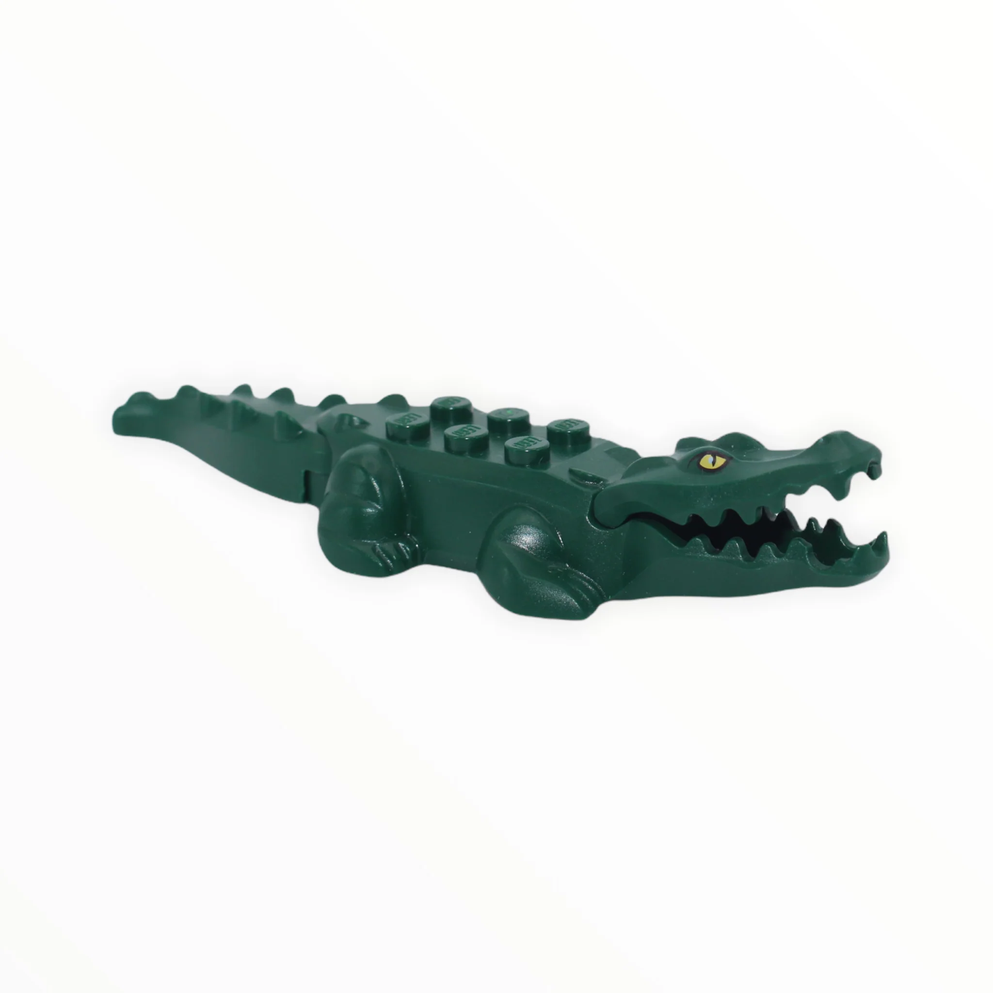 Dark Green Alligator / Crocodile (printed eyes)