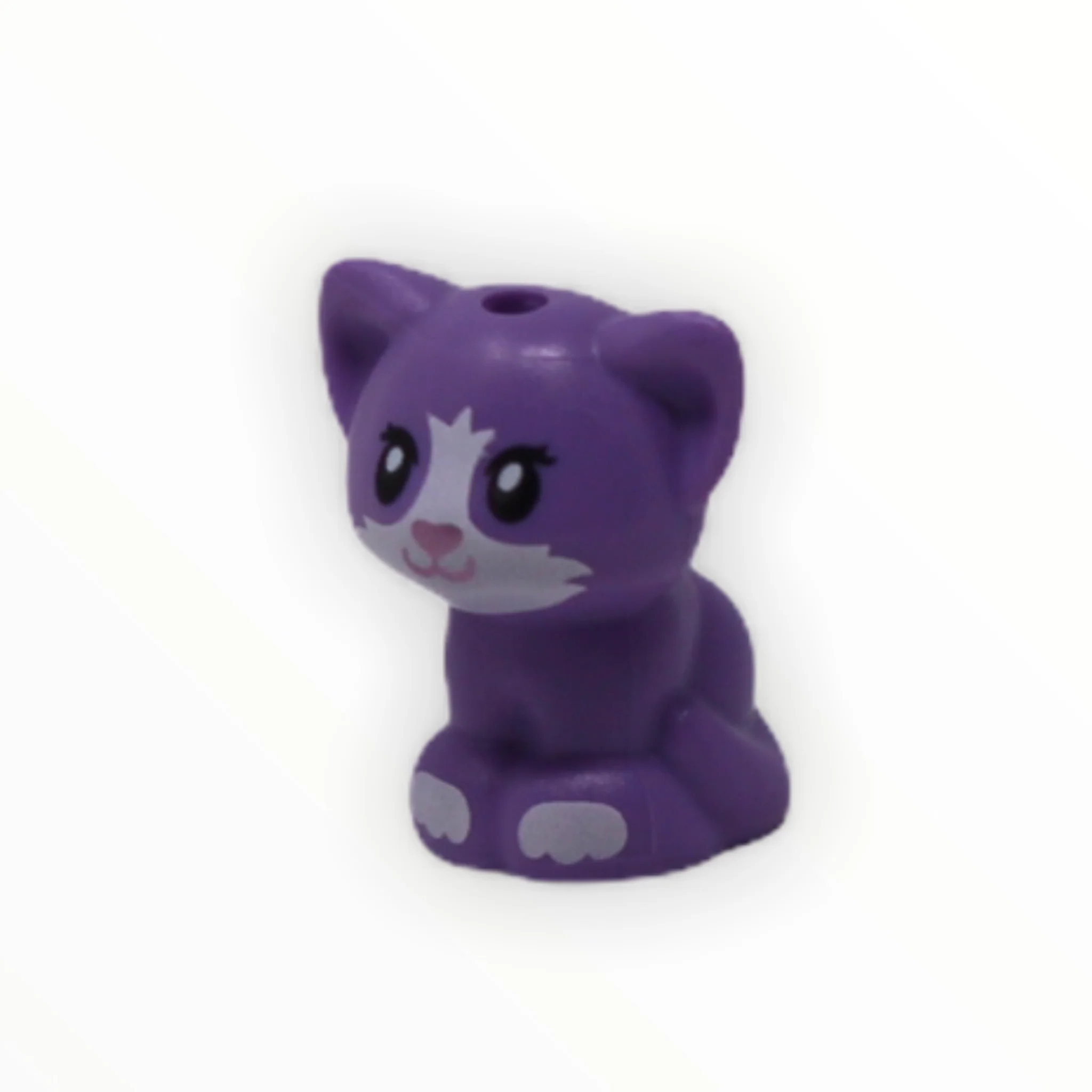 Kitten (Friends, sitting, white muzzle) - Image 4