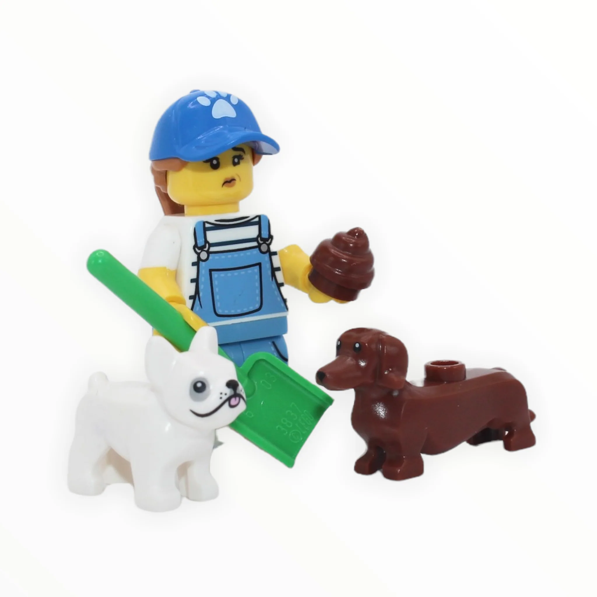 LEGO Series 19: Dog Sitter