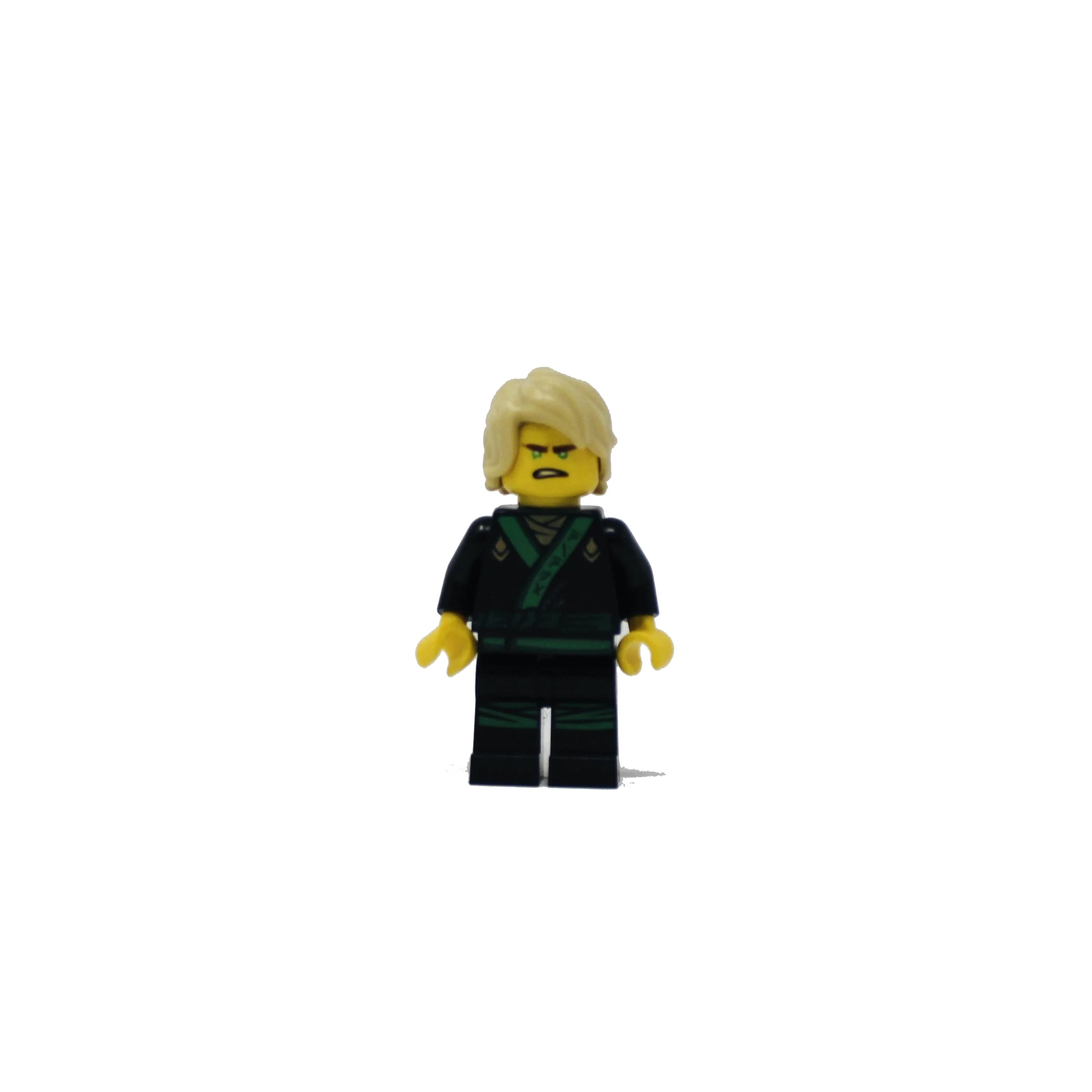 Lloyd (black and green gi)