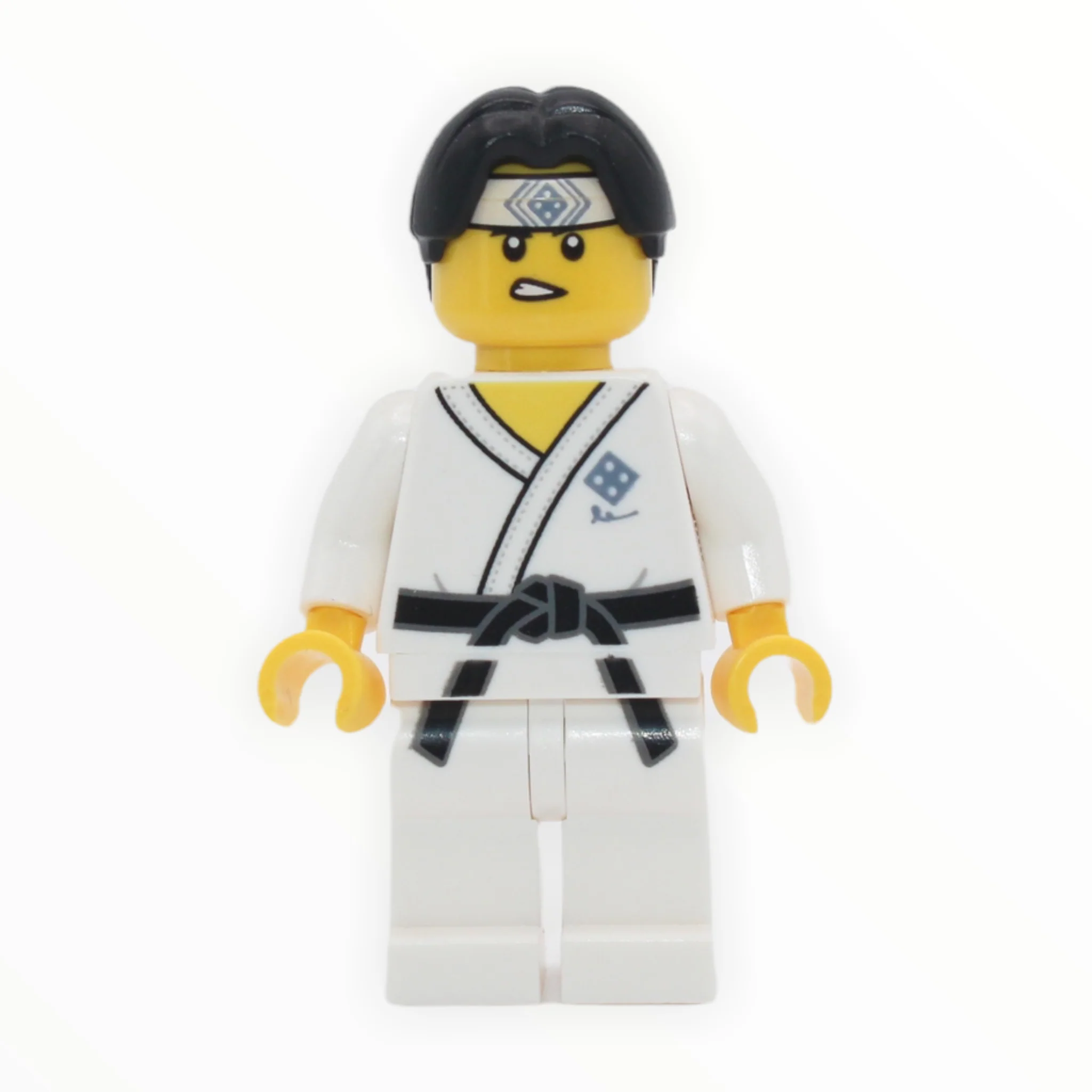 LEGO Series 20: Martial Arts Boy - Image 2
