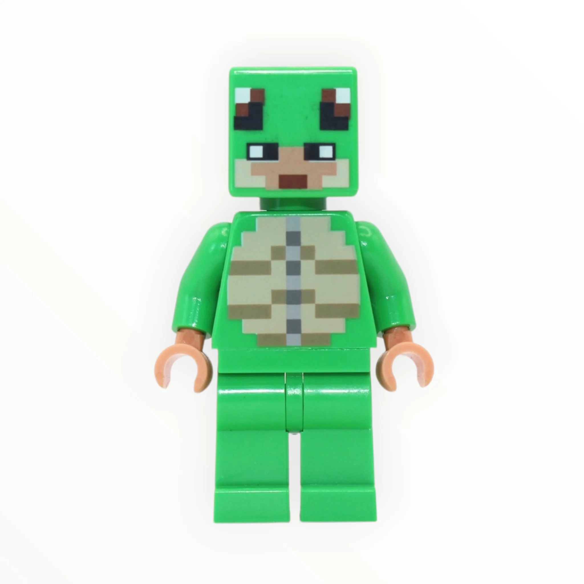 Minecraft Turtle Skin Warrior