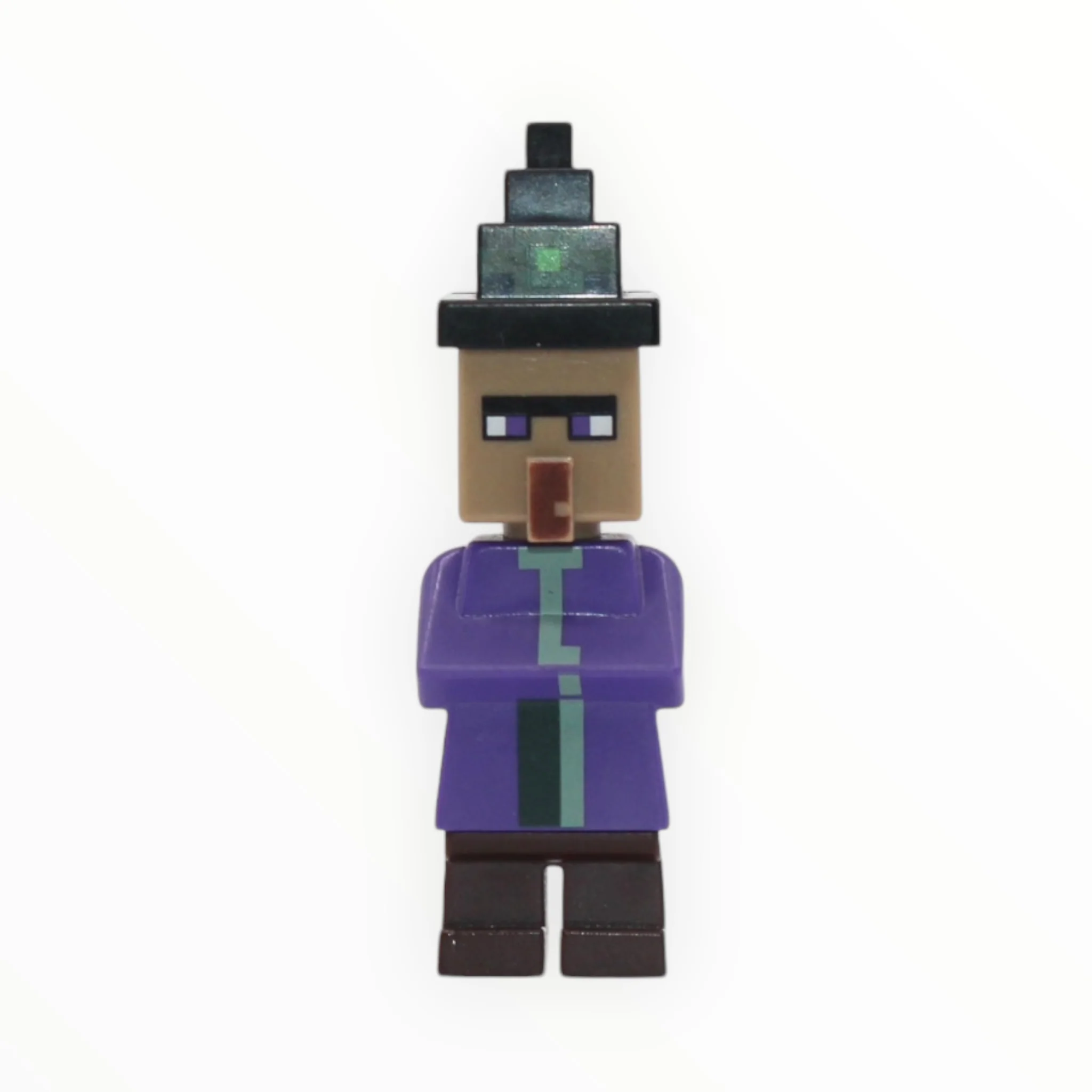 Minecraft Witch (printed hat fixed on head, 2017)