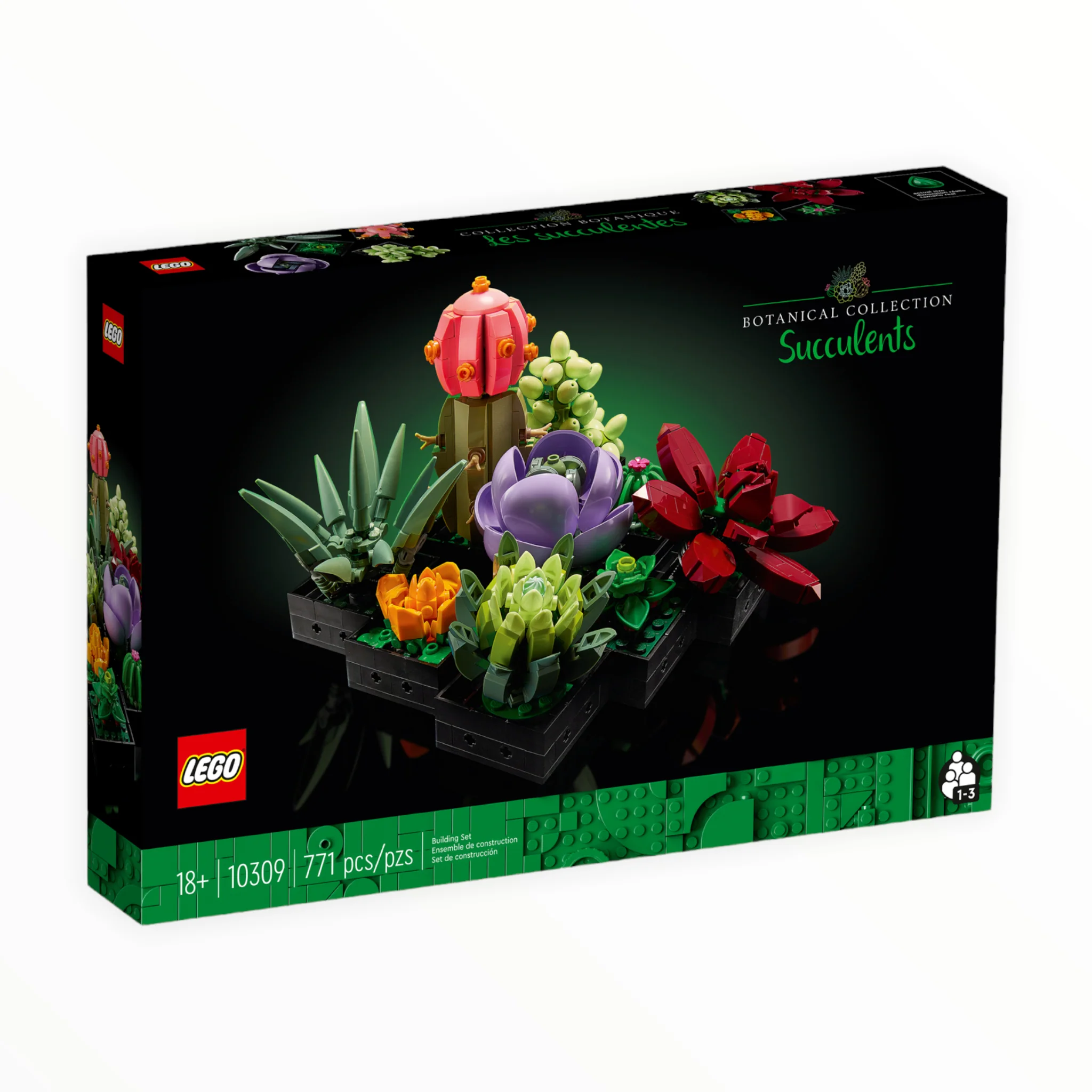 10309 Botanical Collection Succulents - Image 2