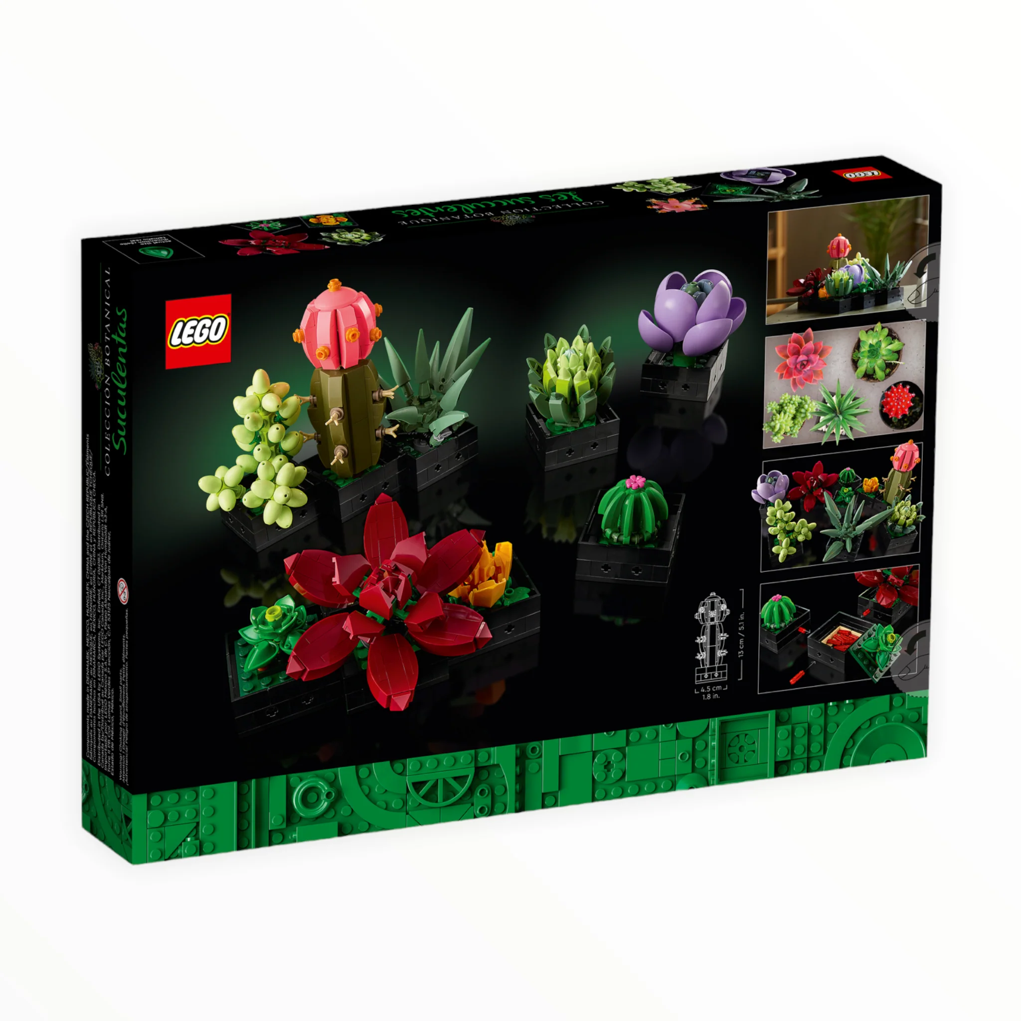 10309 Botanical Collection Succulents - Image 3