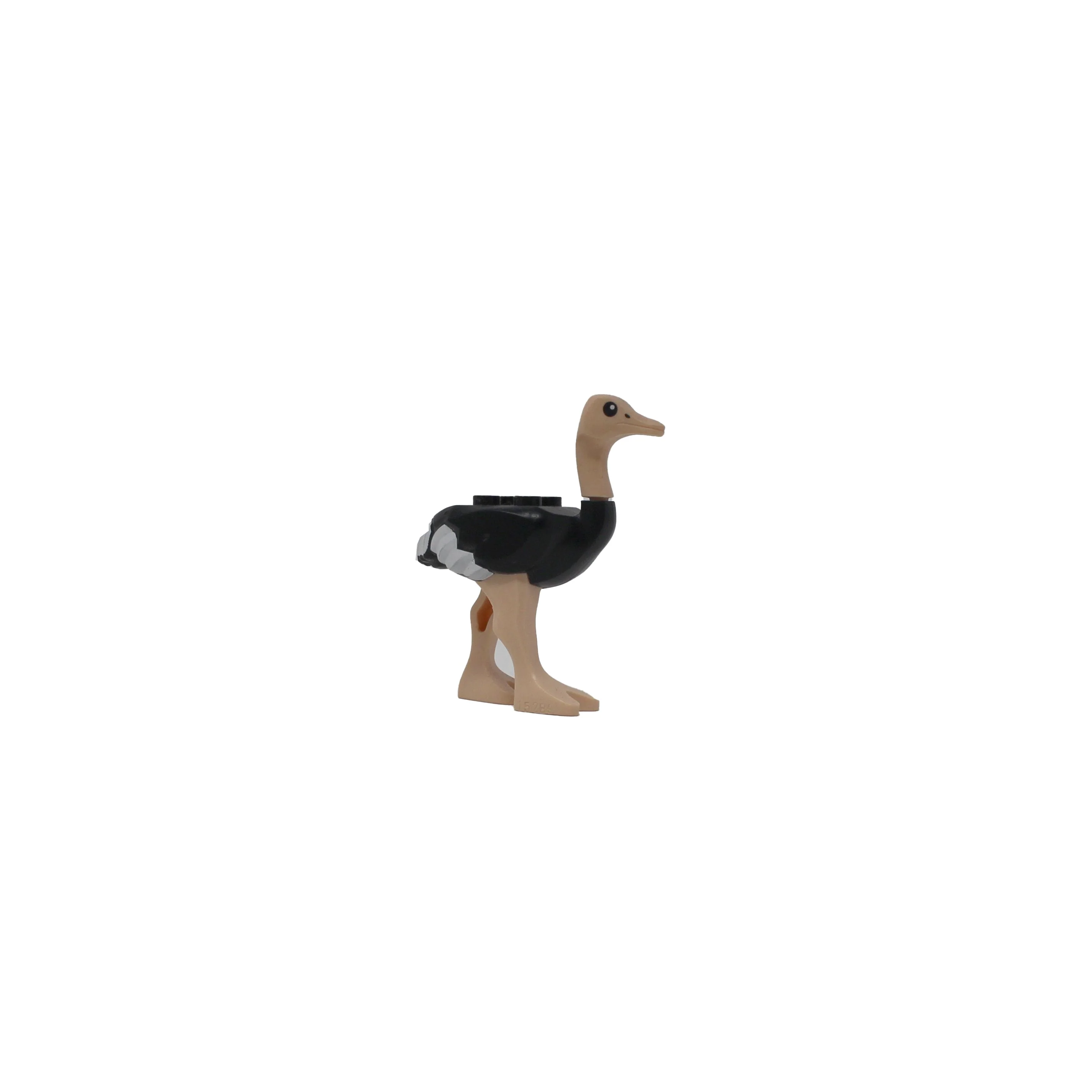 Ostrich - Image 3
