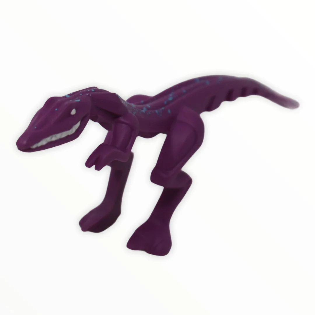 Purple Mutant Lizard with blue spots