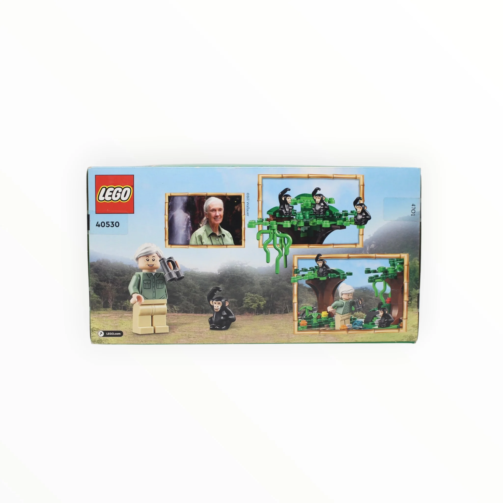 Retired Set 40530 LEGO Jane Goodall Tribute (damaged box) - Image 2