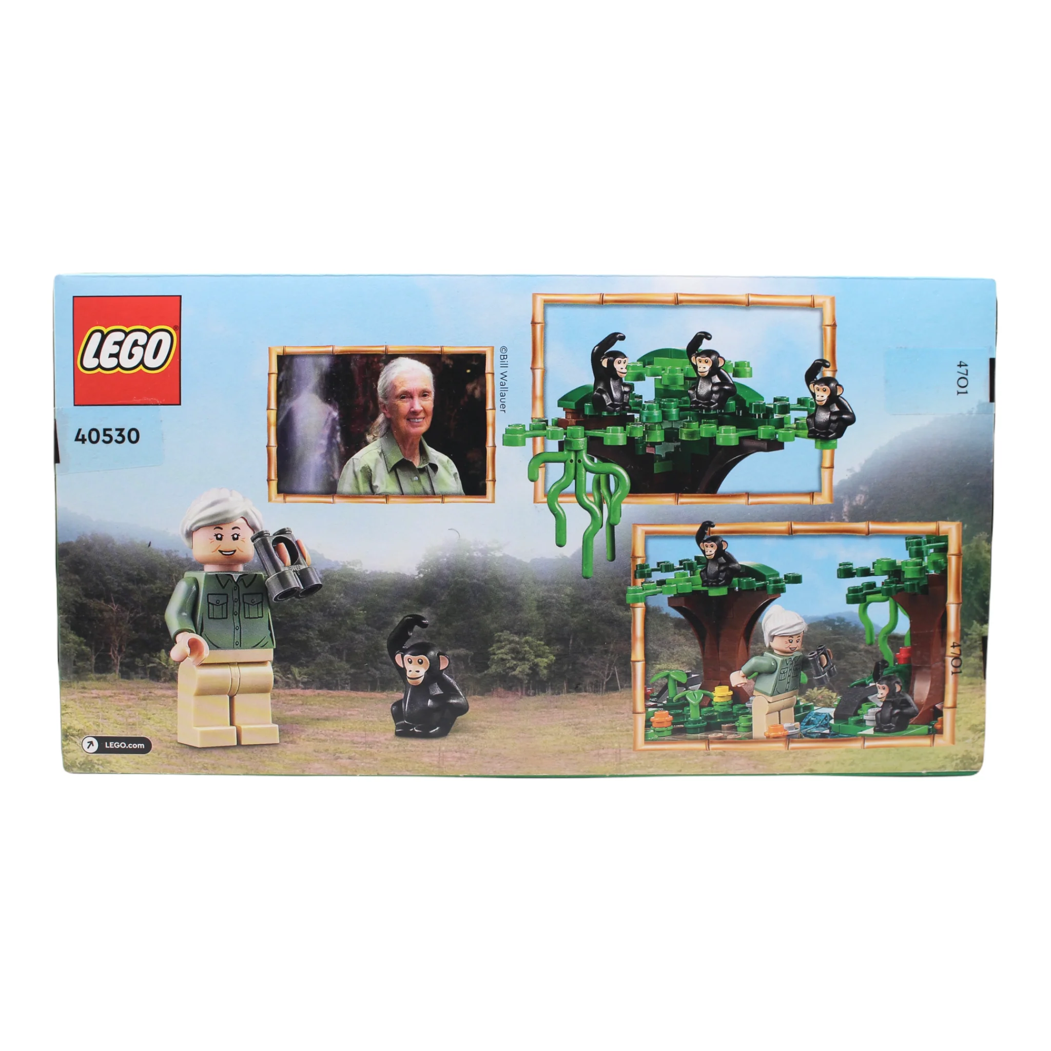 Retired Set 40530 LEGO Jane Goodall Tribute - Image 2