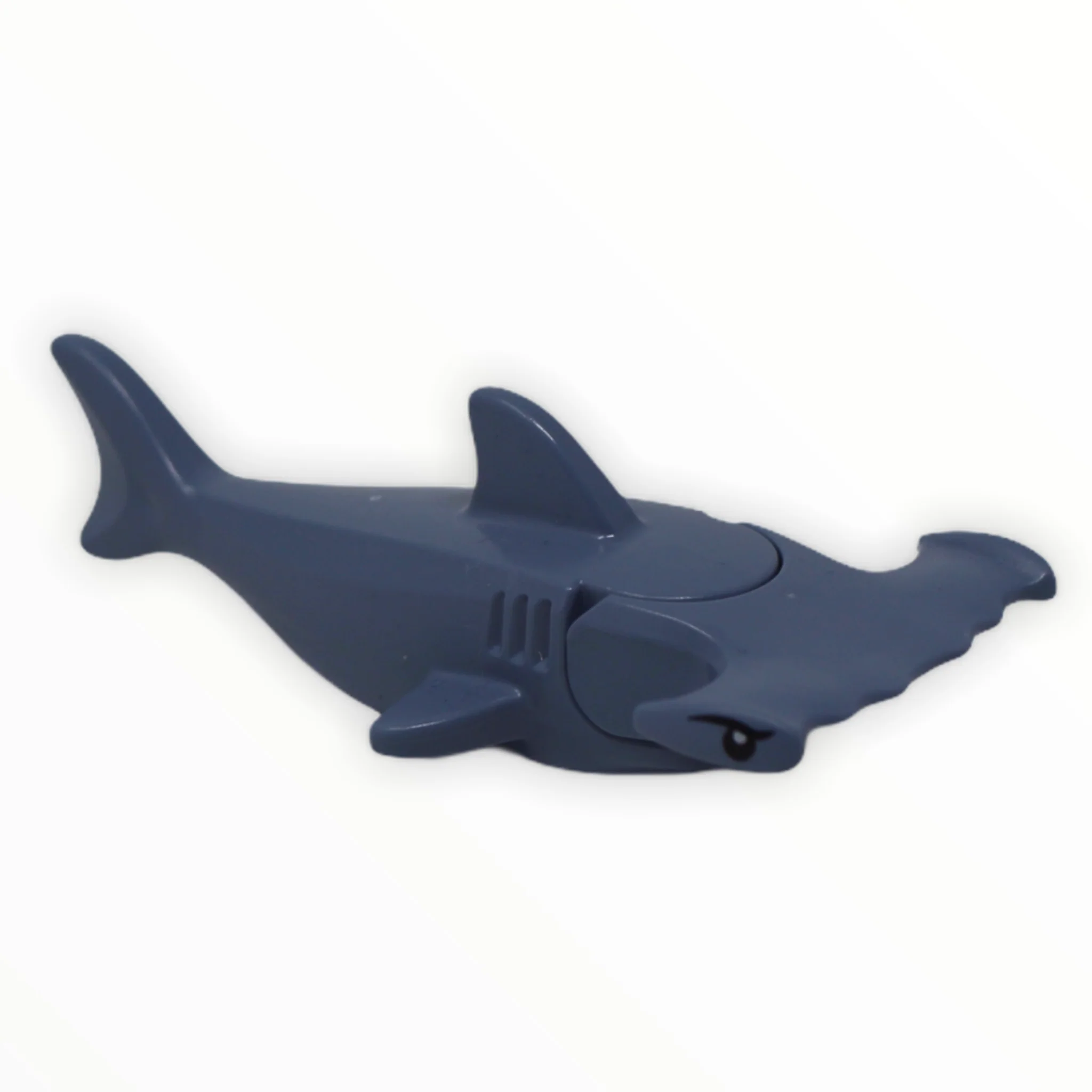 Hammerhead Shark