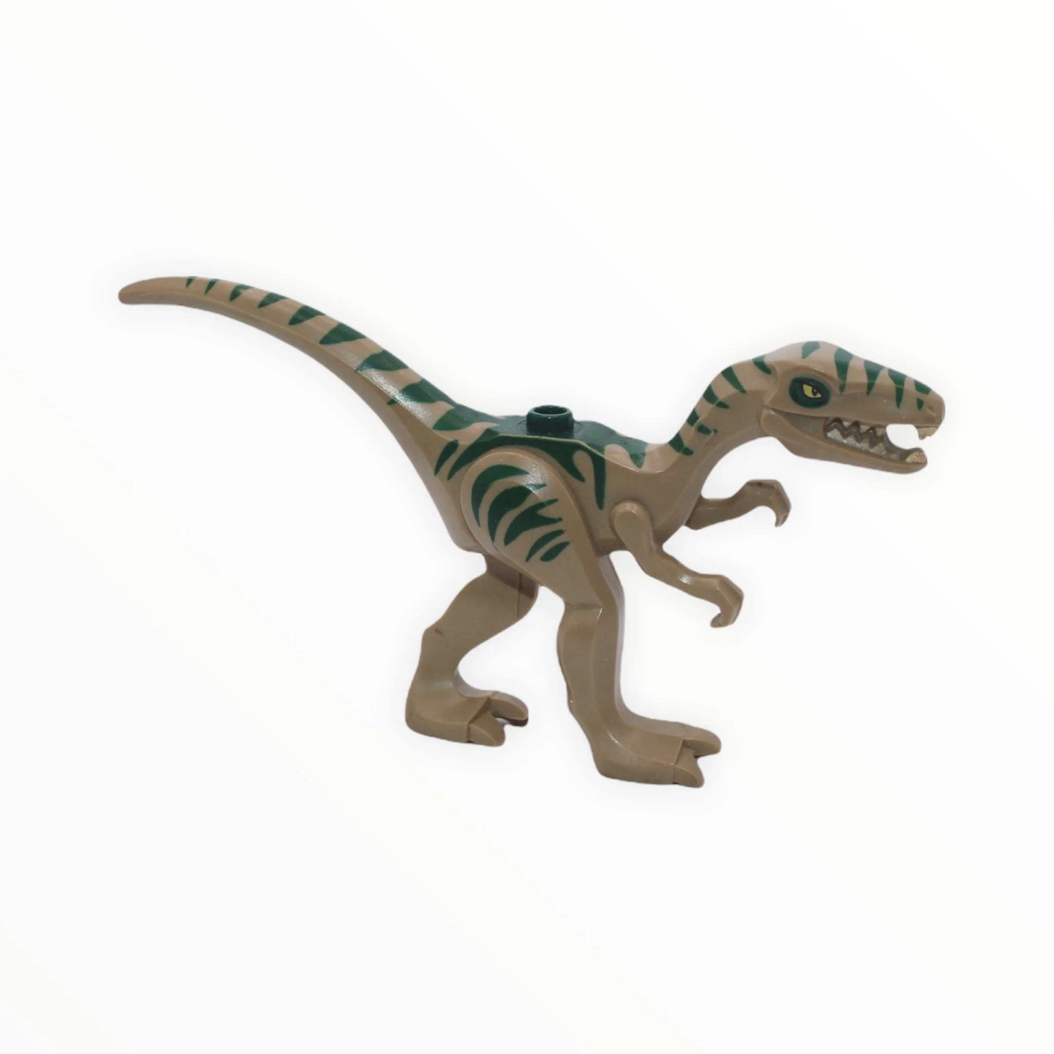 Coelophysis / Gallimimus (dark tan with dark green stripes)