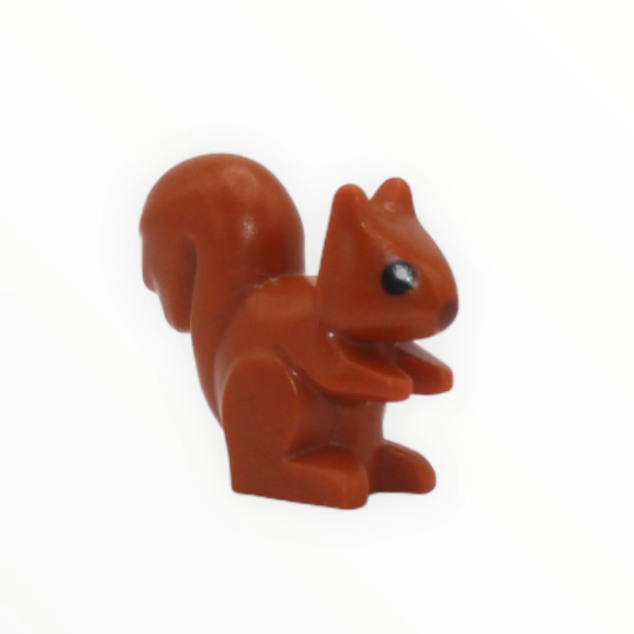 Squirrel (City, 2022)