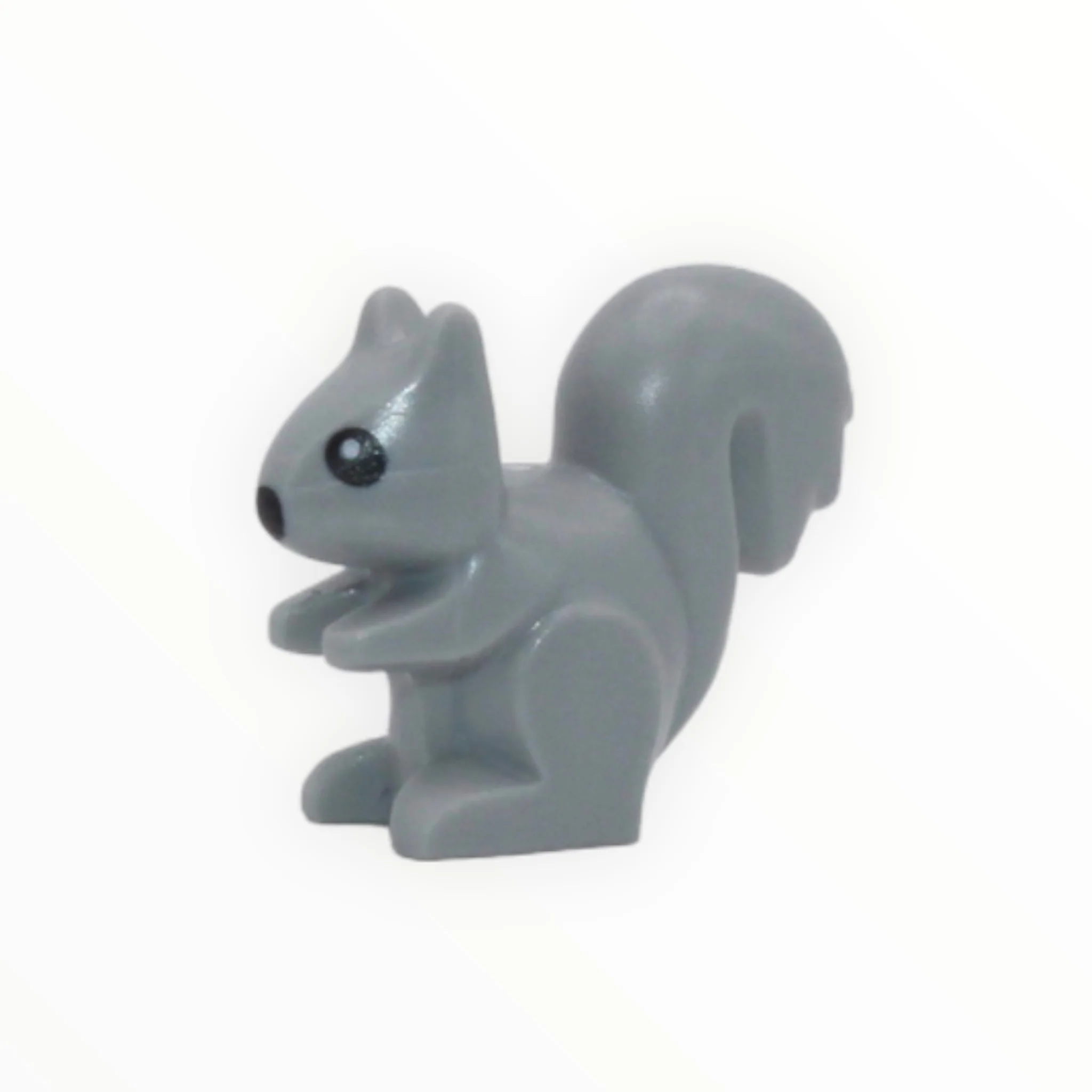 Squirrel (City, 2022) - Image 2
