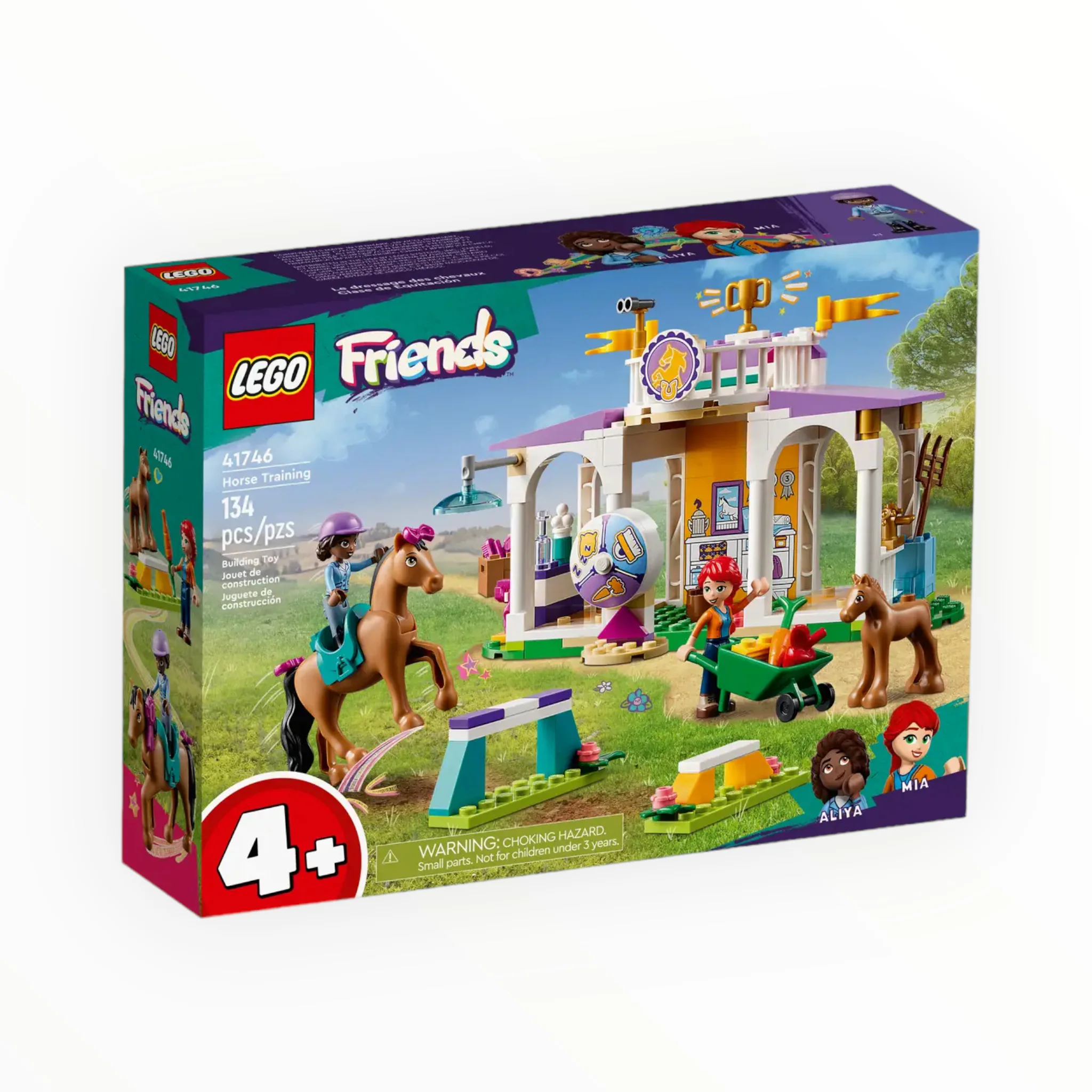 41746 Friends Horse Training - Image 2