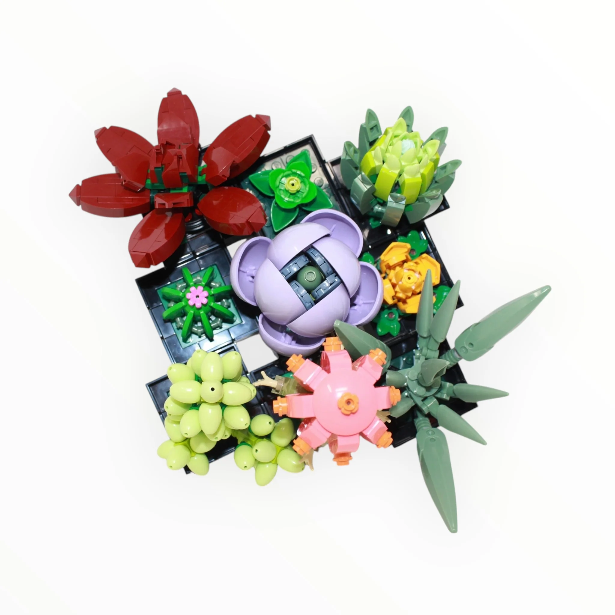 Used Set 10309 Botanical Collection Succulents - Image 4