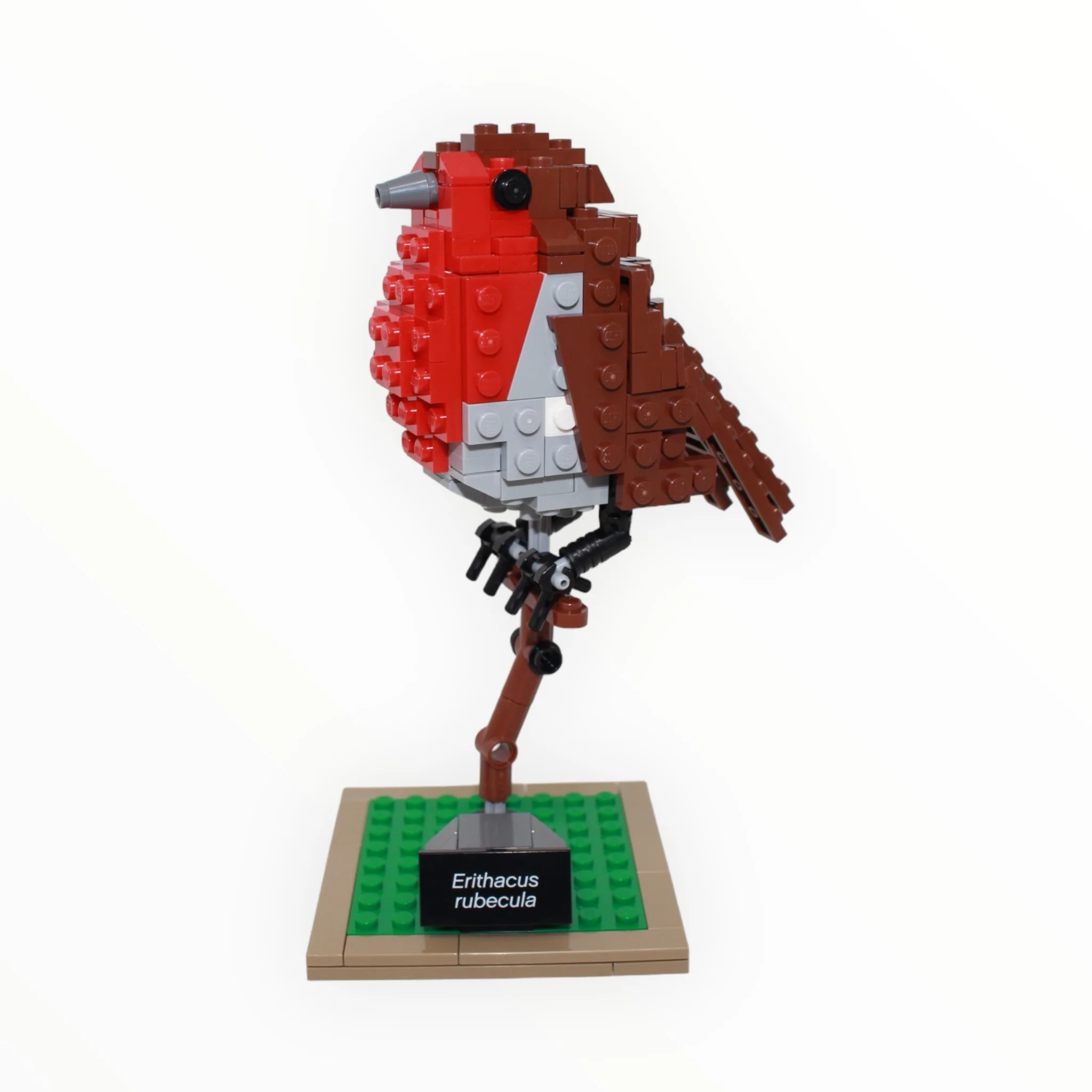 Used Set 21301 LEGO Ideas Birds - Image 2
