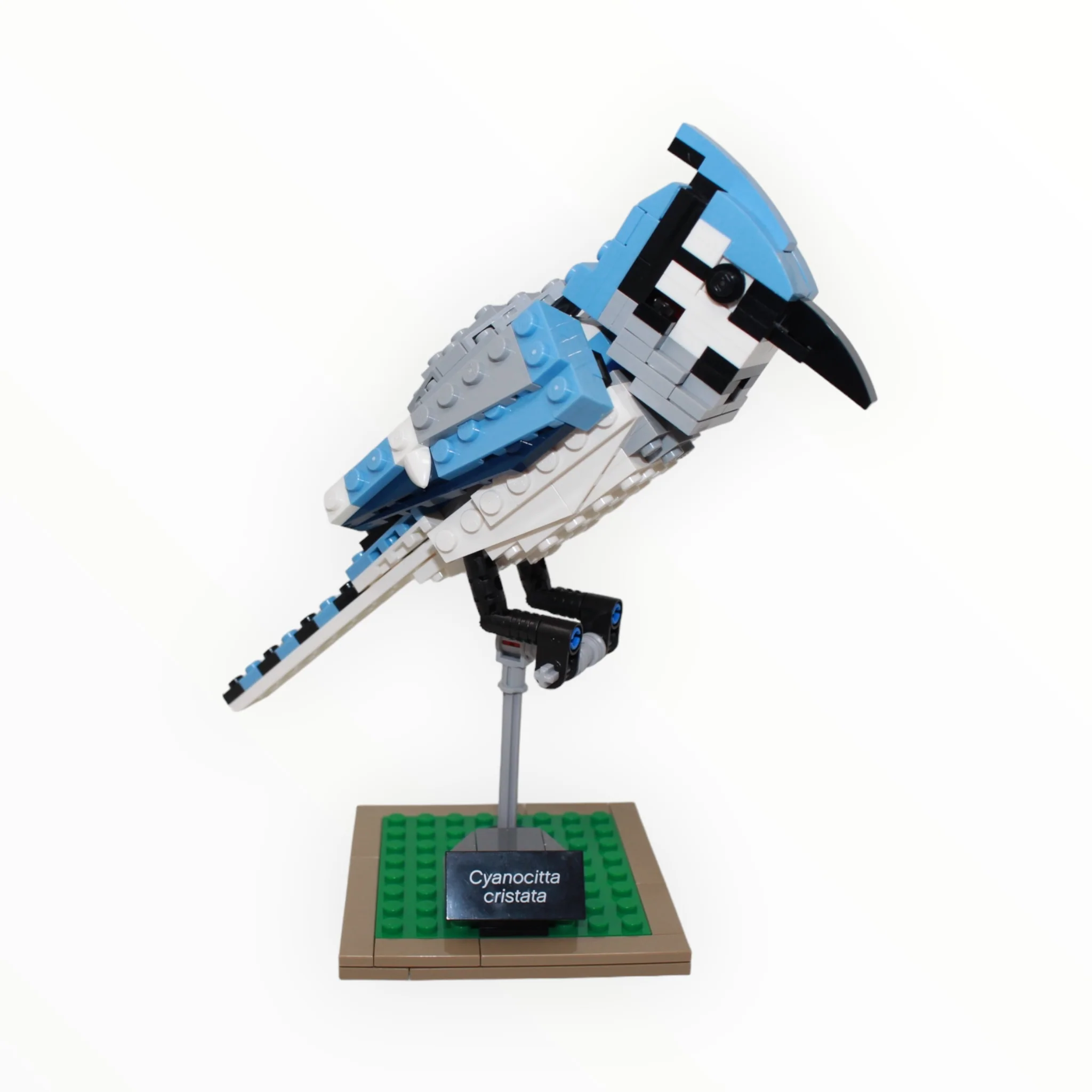 Used Set 21301 LEGO Ideas Birds - Image 4
