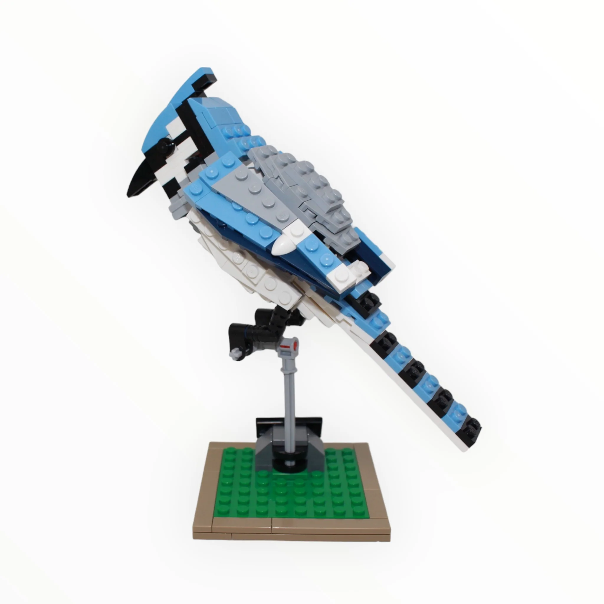 Used Set 21301 LEGO Ideas Birds - Image 5