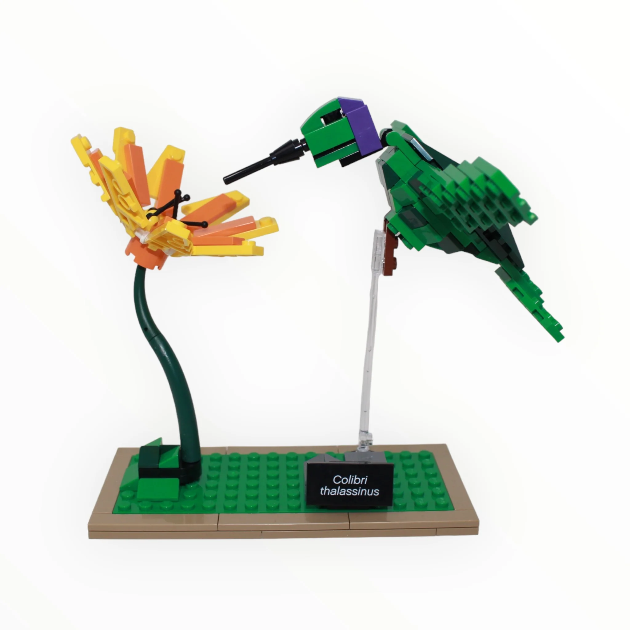 Used Set 21301 LEGO Ideas Birds - Image 6