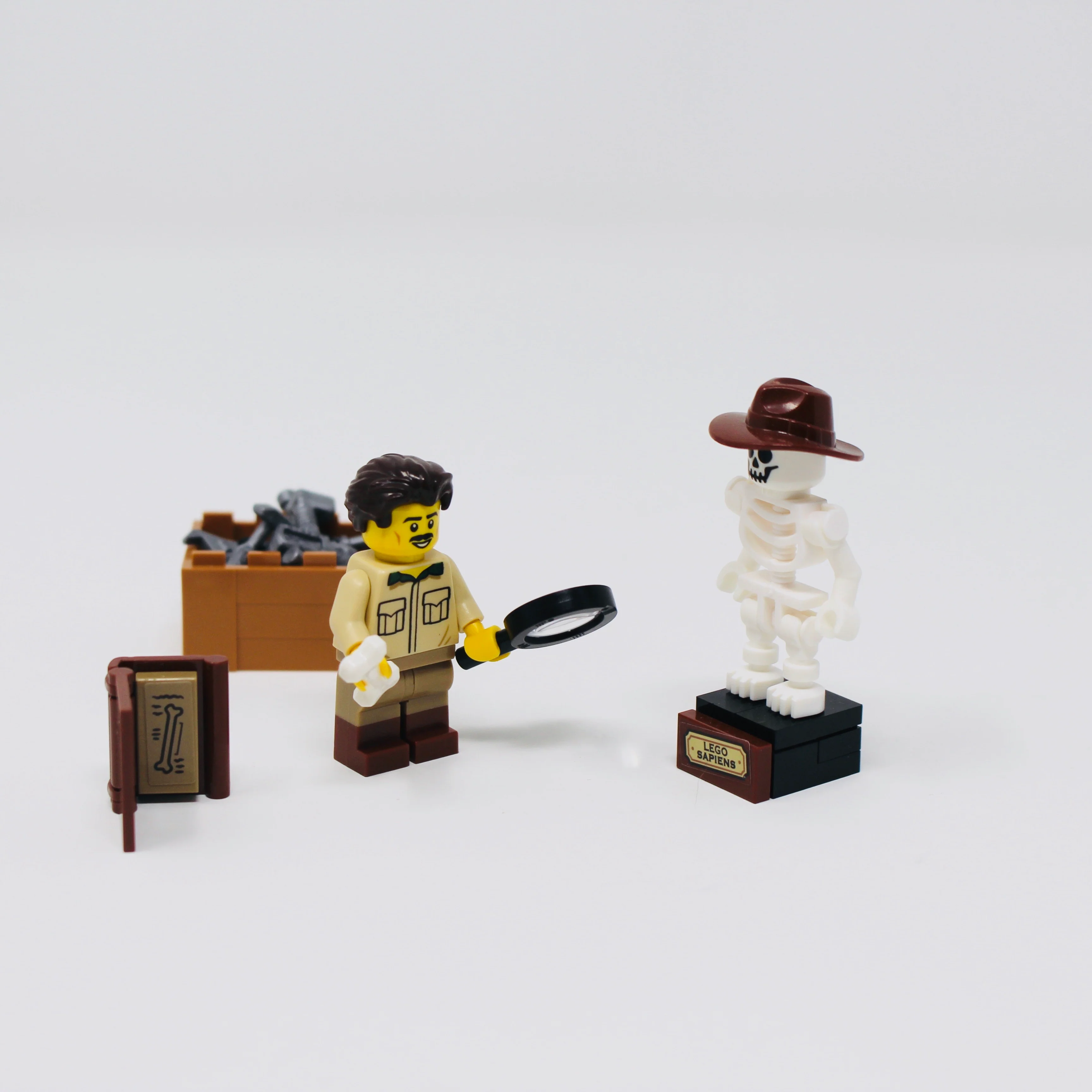 Used Set 21320 LEGO Ideas Dinosaur Fossils - Image 2