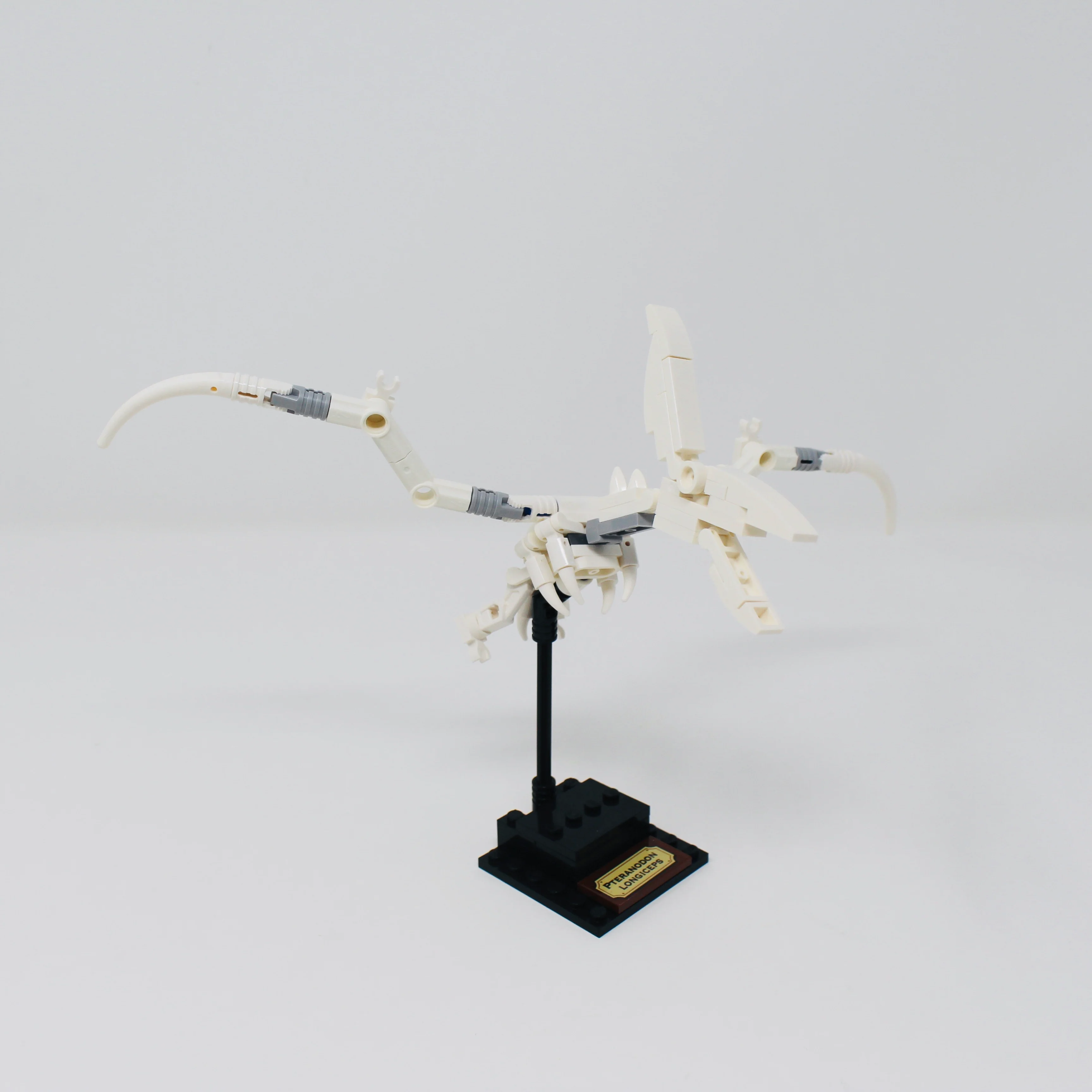 Used Set 21320 LEGO Ideas Dinosaur Fossils - Image 3