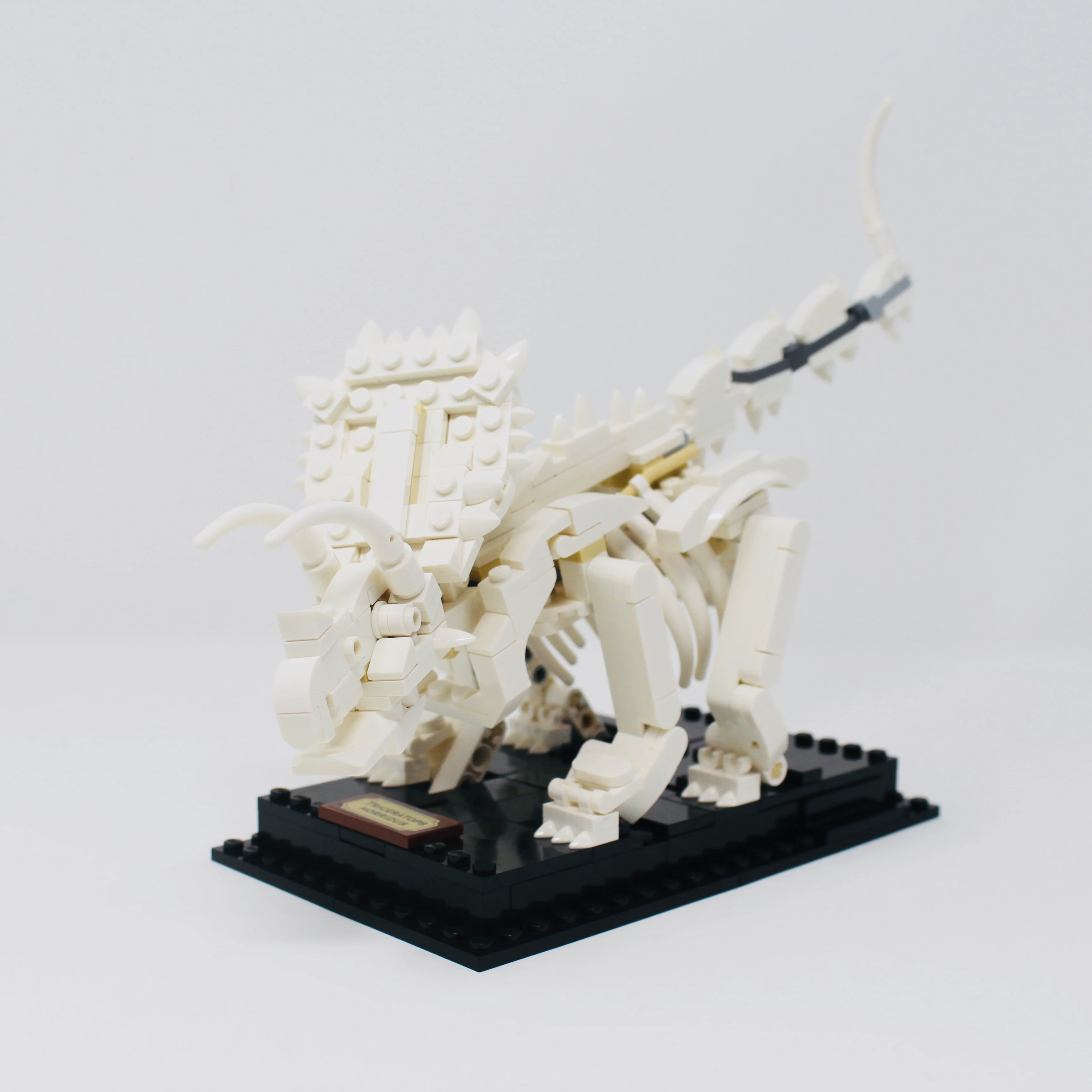 Used Set 21320 LEGO Ideas Dinosaur Fossils - Image 4