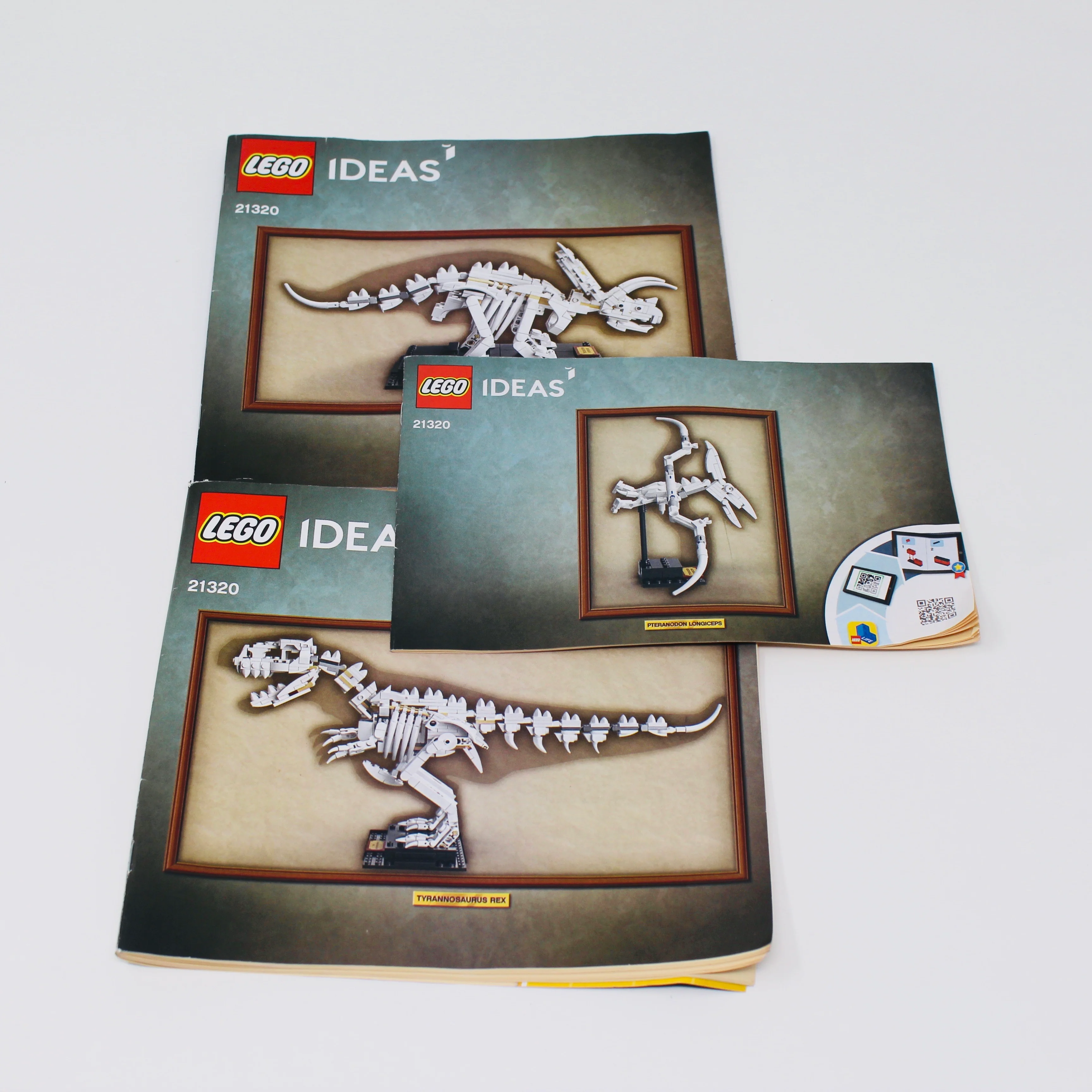 Used Set 21320 LEGO Ideas Dinosaur Fossils - Image 6