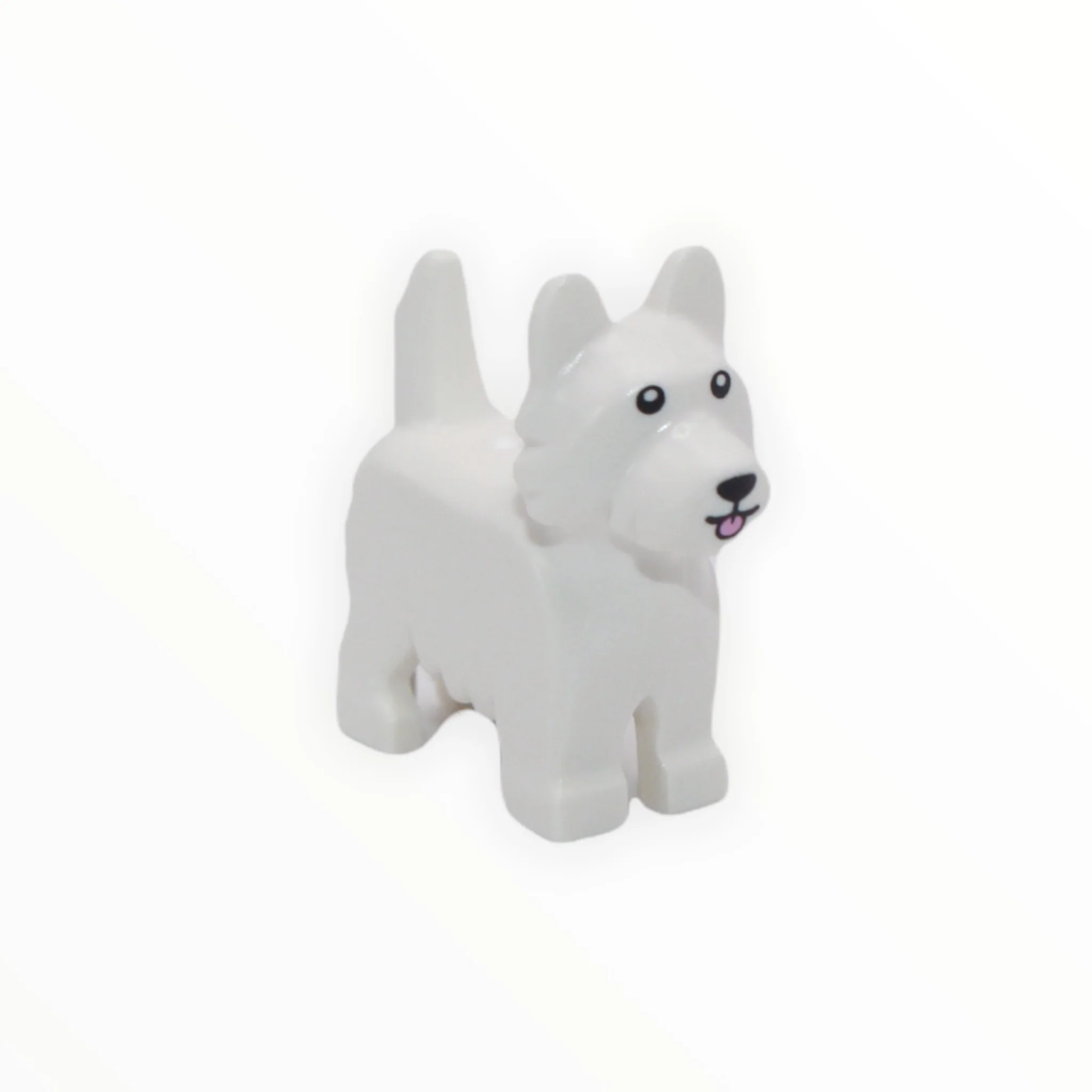 White Terrier (pink tongue)